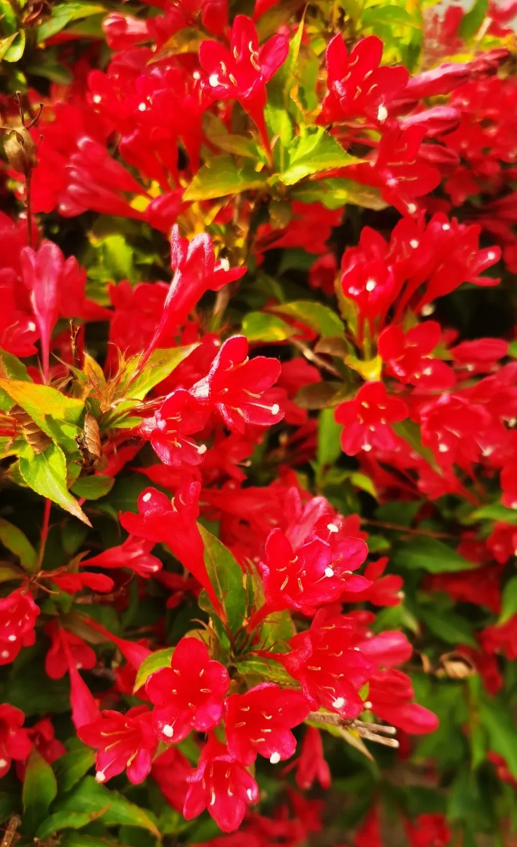 占别人便宜是人的本性,但对这帮人来说,不光