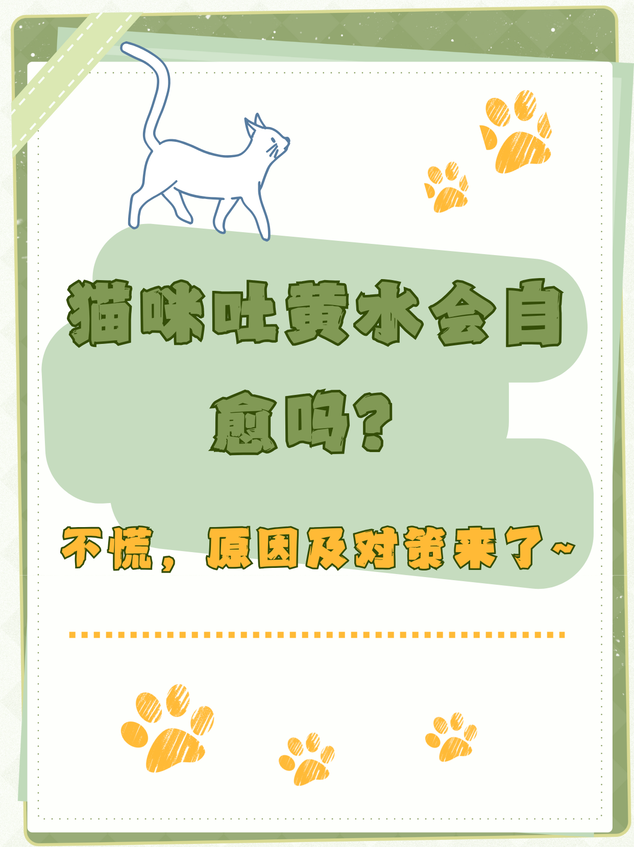 猫咪为什么会吐 猫咪为什么会吐
