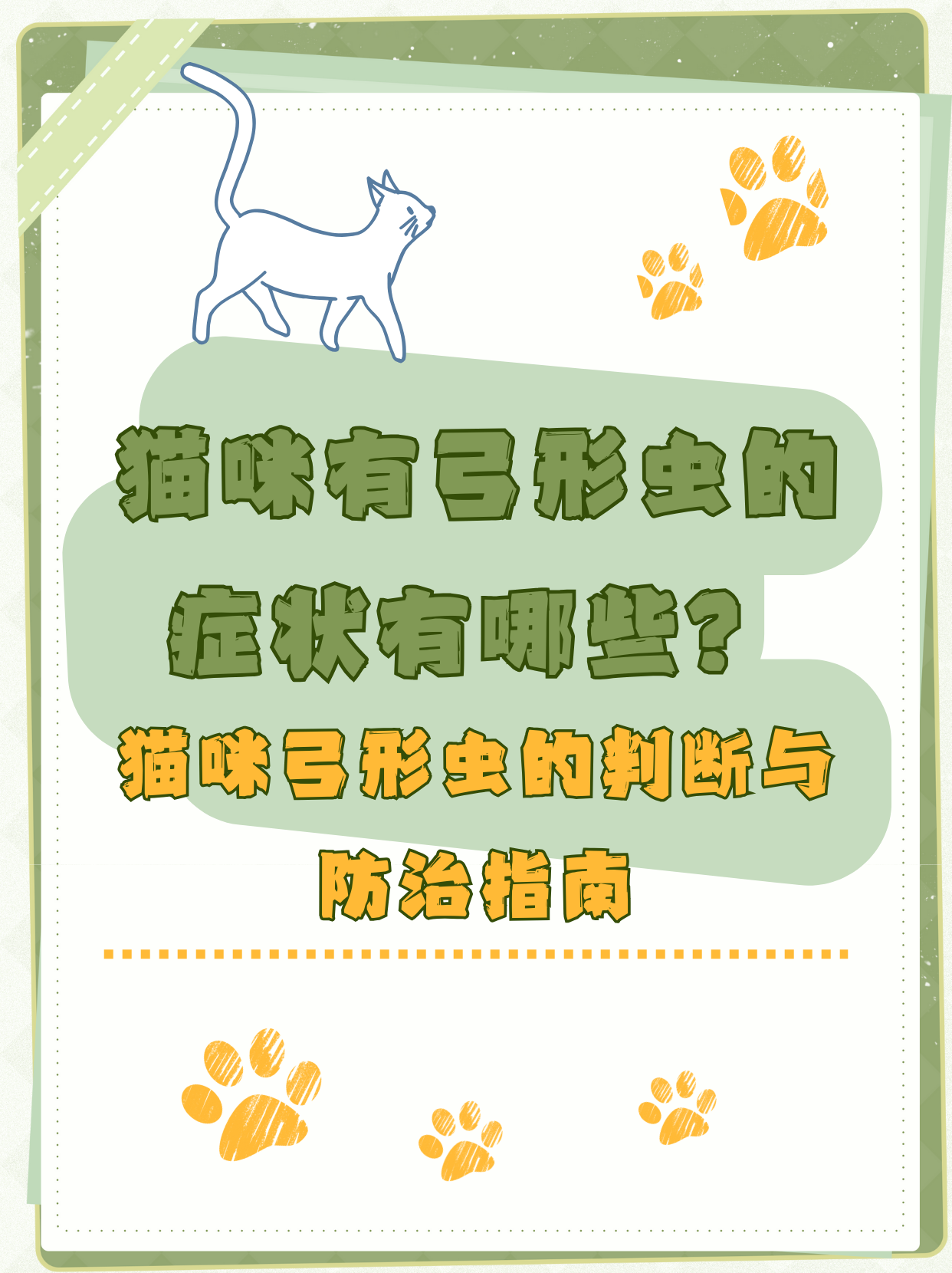 猫咪弓形虫的判断与防治指南