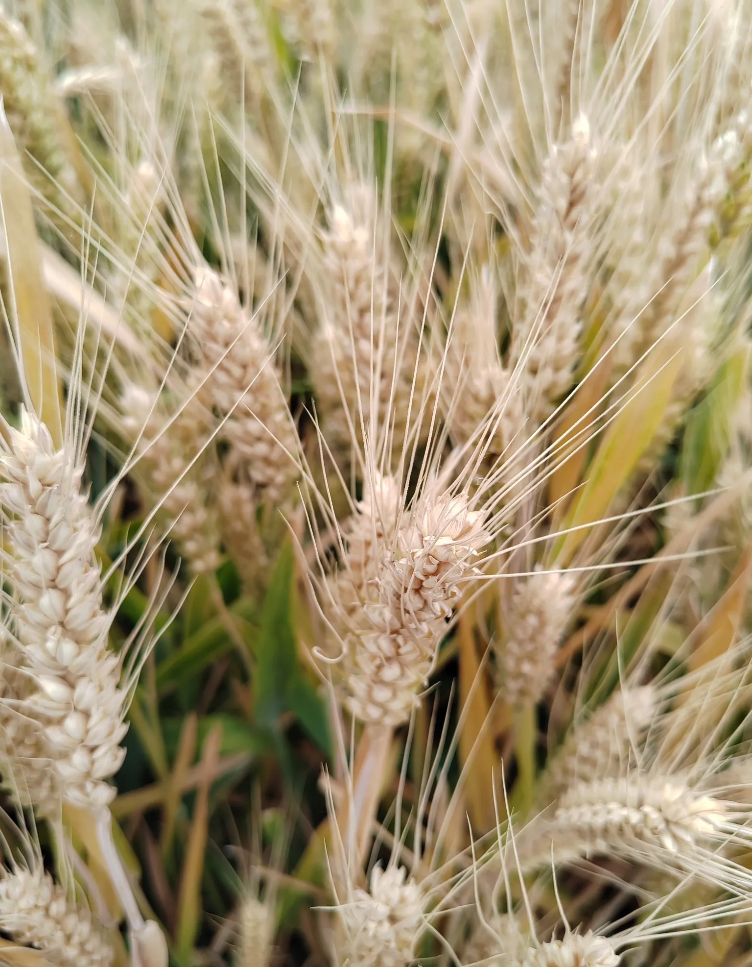 赣南大地 的希望与 困局相关图片2