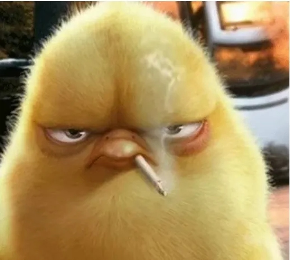 二十年前我家盖房子, 房脊上面被人家放了七根针