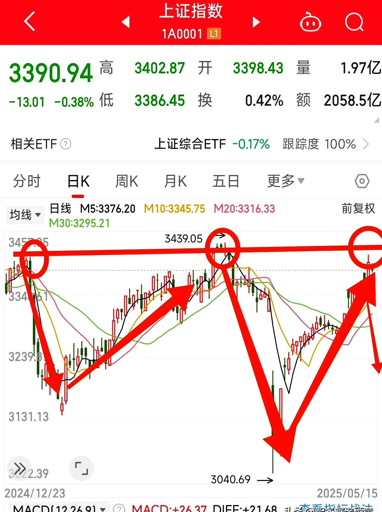 002806股票行情