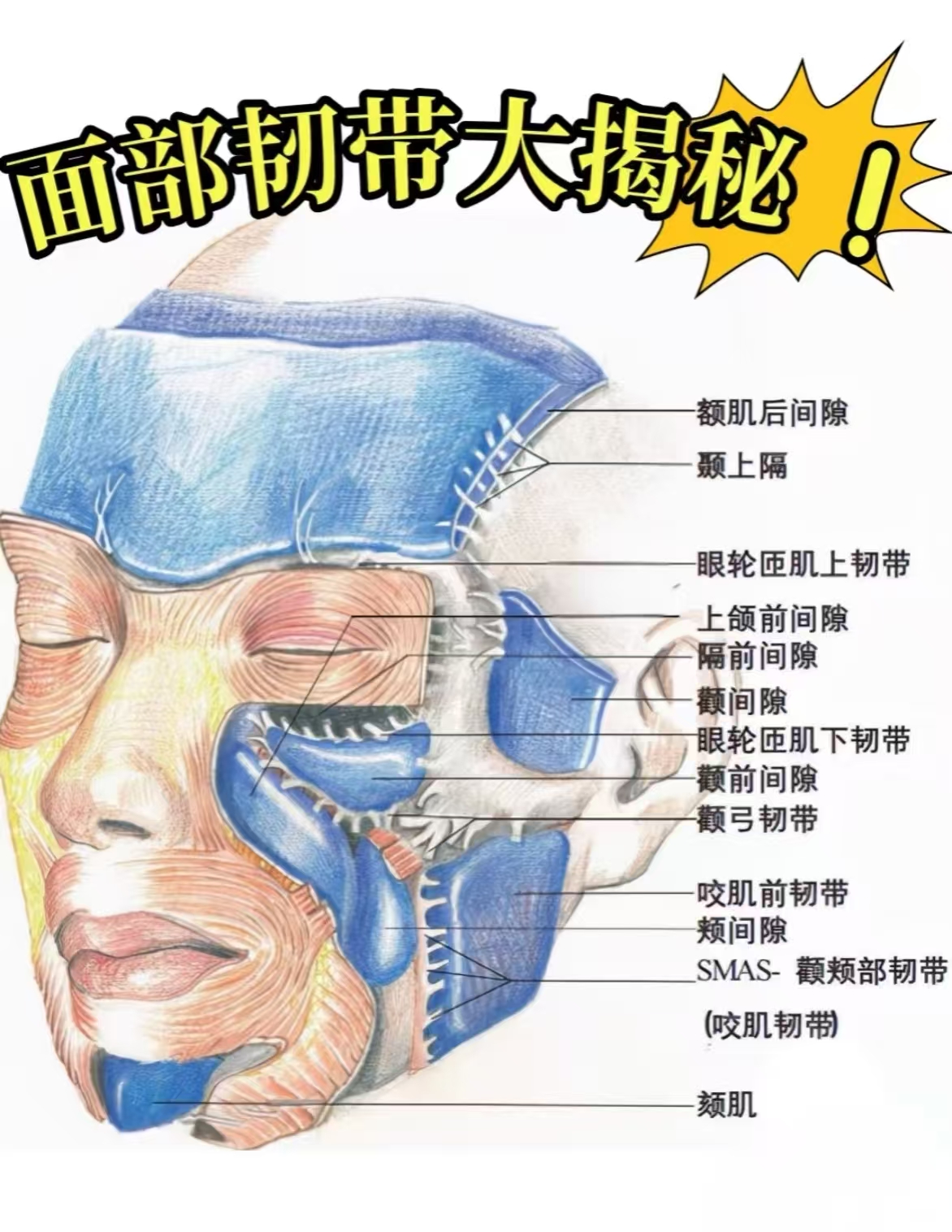 像上脸和下脸的