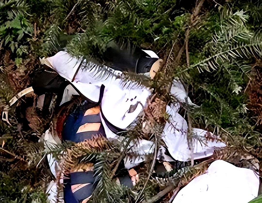 2020年5月18日,湖南张家界,一位年轻女子的遗体,6天后才被发现,发现时