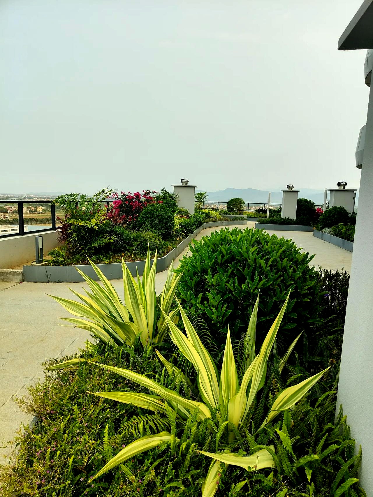 看看你已经还是即将被世事抛弃了?