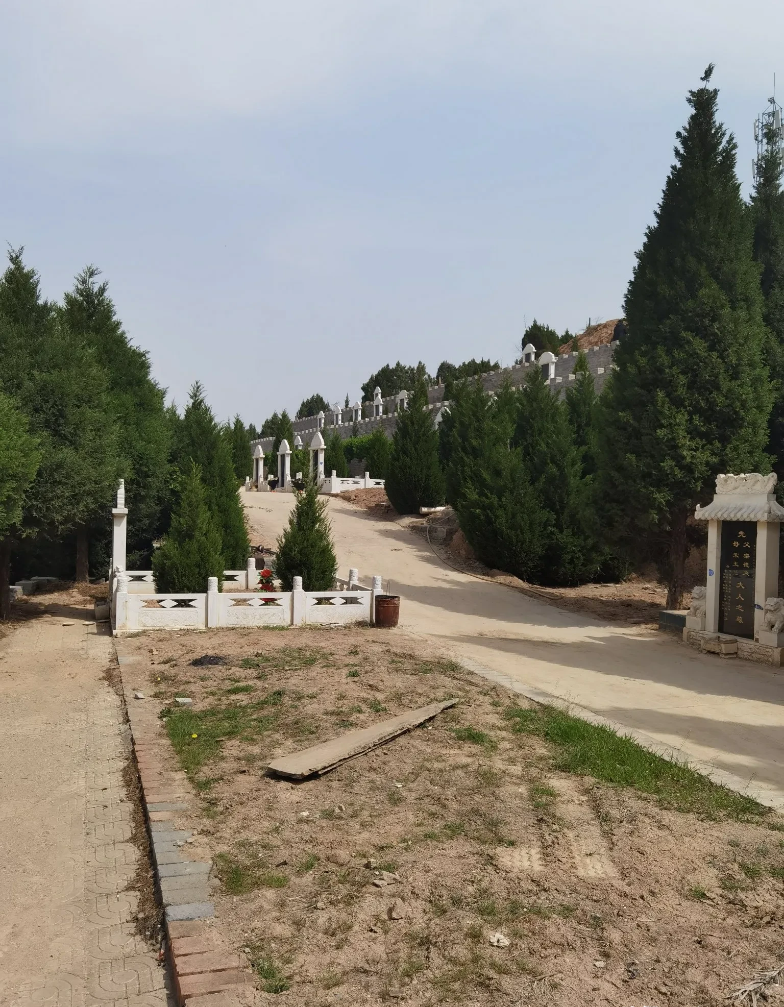 这位父亲生前肯定爱小酌几杯,儿子的经济状况看起来也