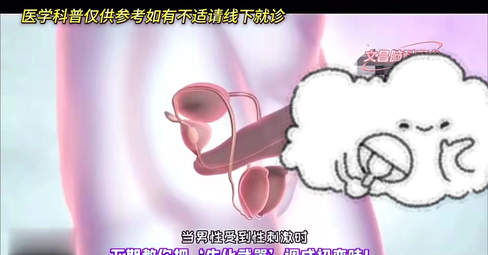 为什么精子有臭味