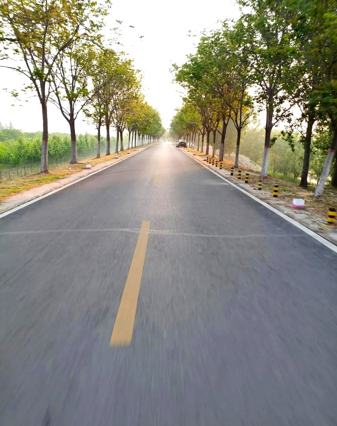 架不住哥嫂的一再恳求,昨天给侄女介绍了个对象,男