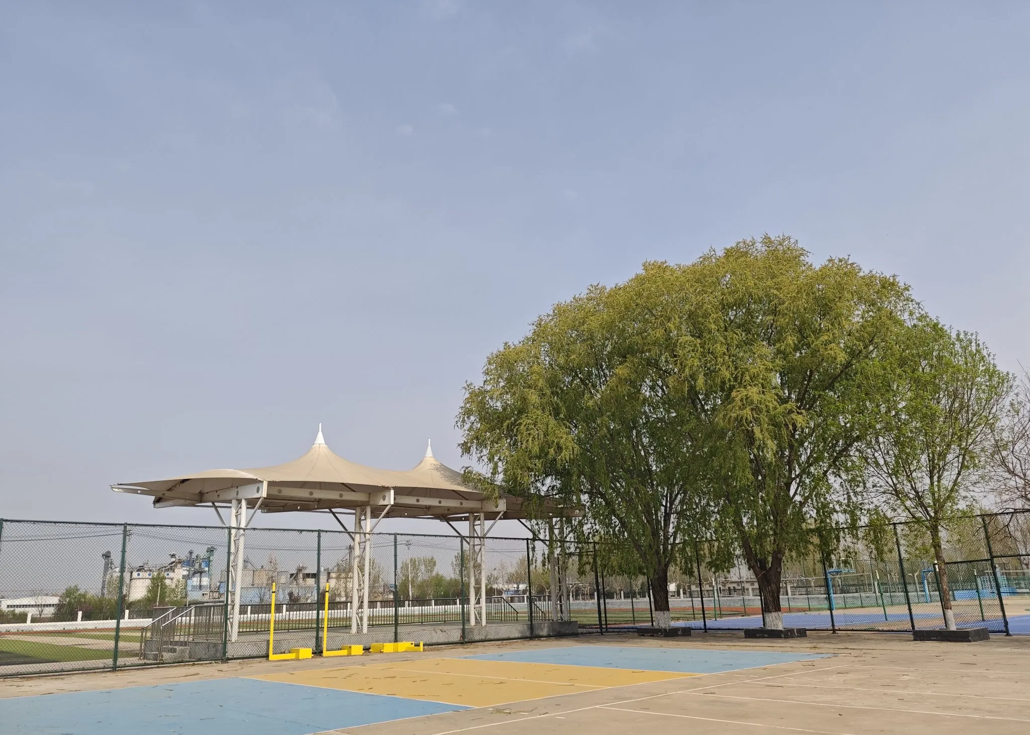 教师职称评审领导有优势?