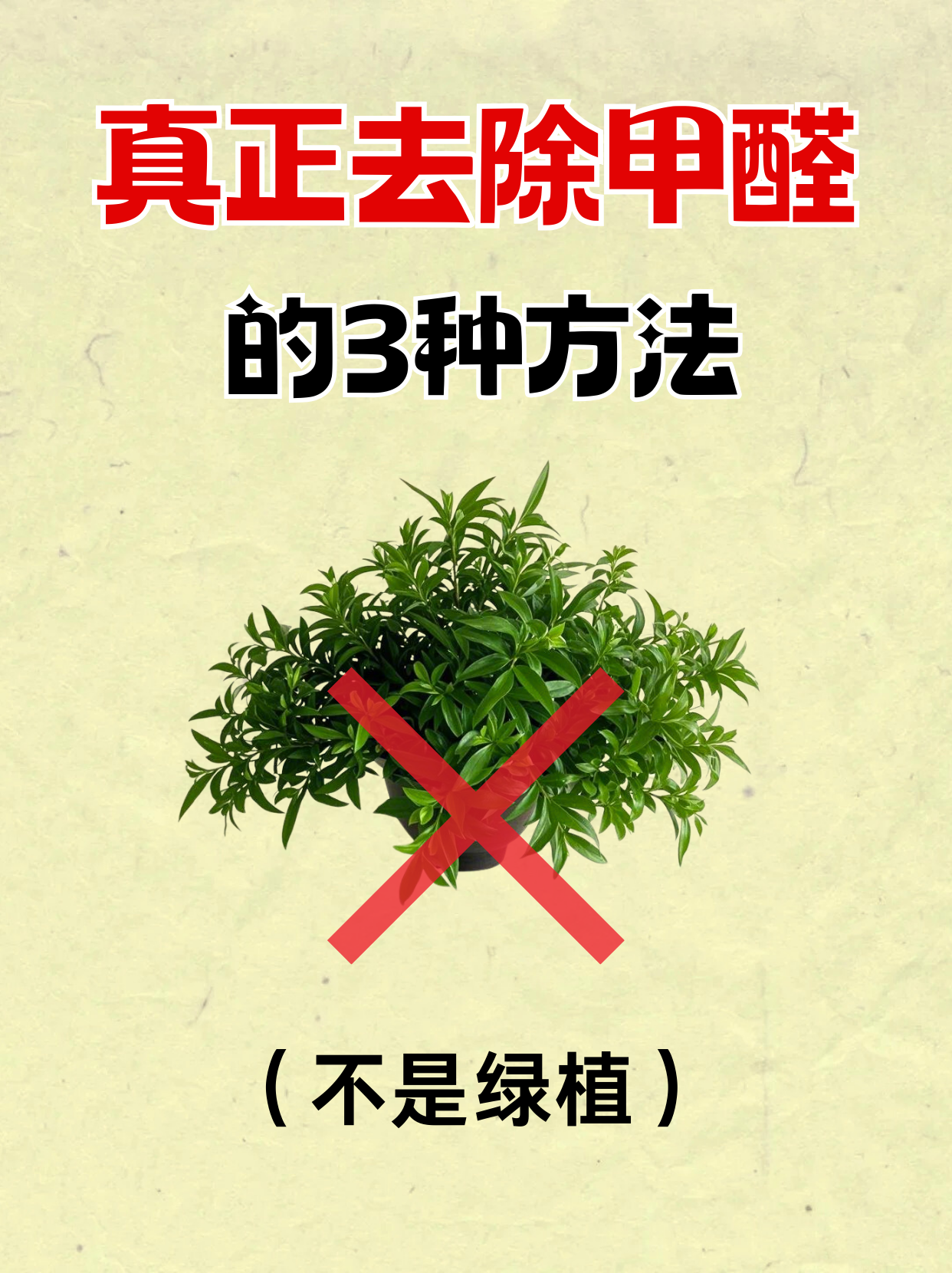 快速除甲醛最有效(快速除甲醛最有效方法)