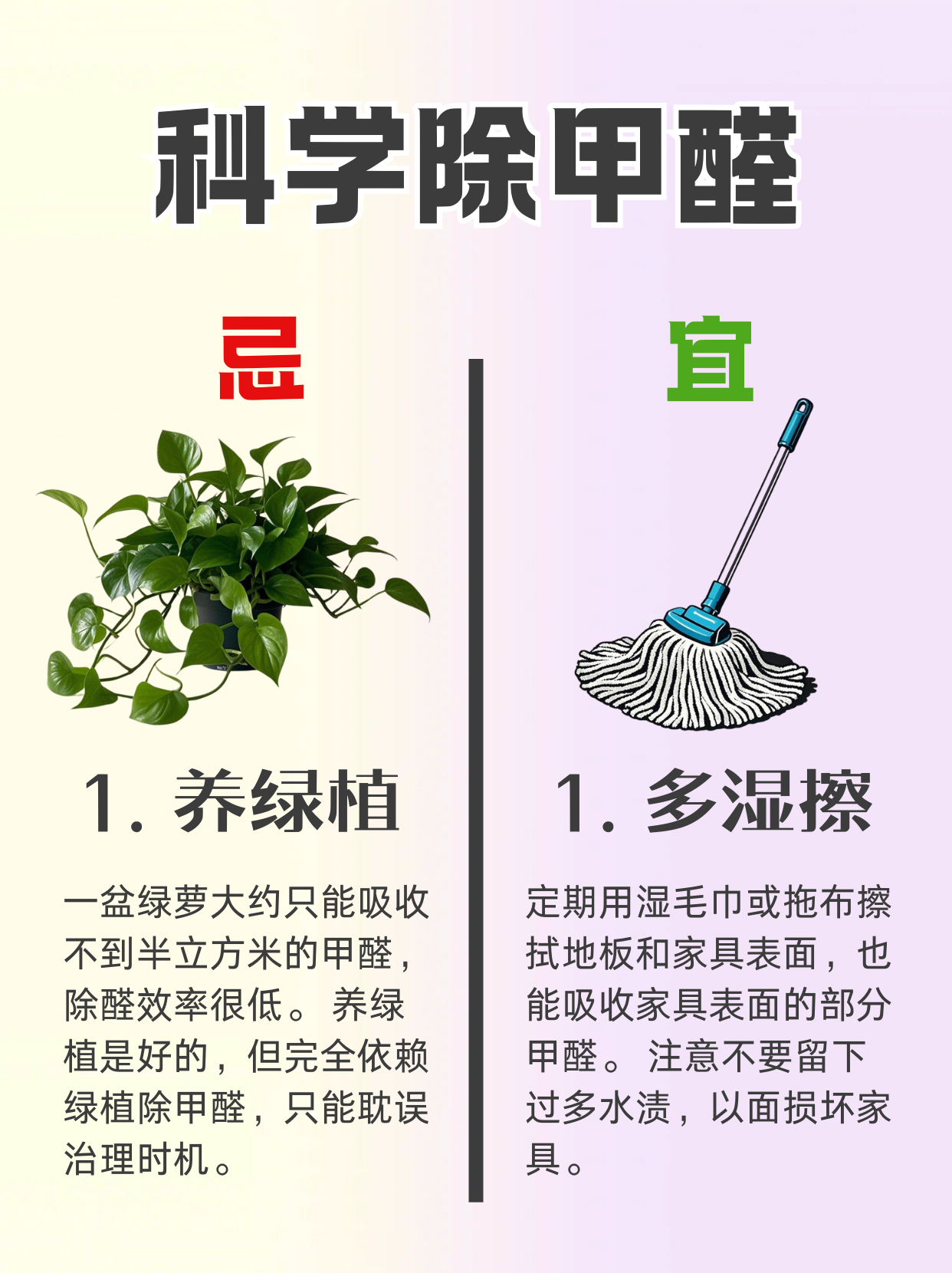 如何有效去除甲醛的方法小妙招(教你几个去除甲醛的妙招)