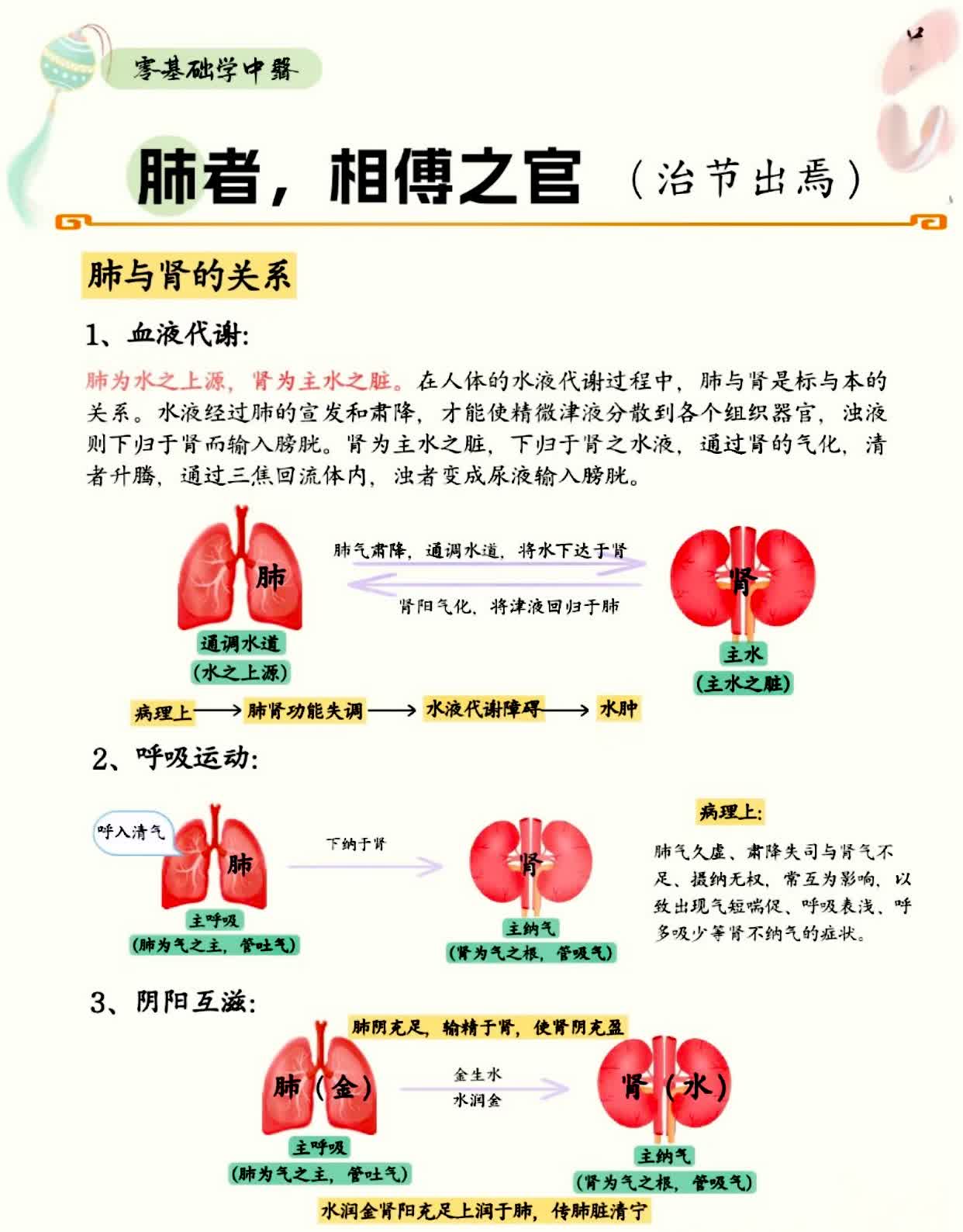 肺不好身体出问题 肺功能受损呼吸系统会有明现幸椒畏沃幸椒沃 皮毛