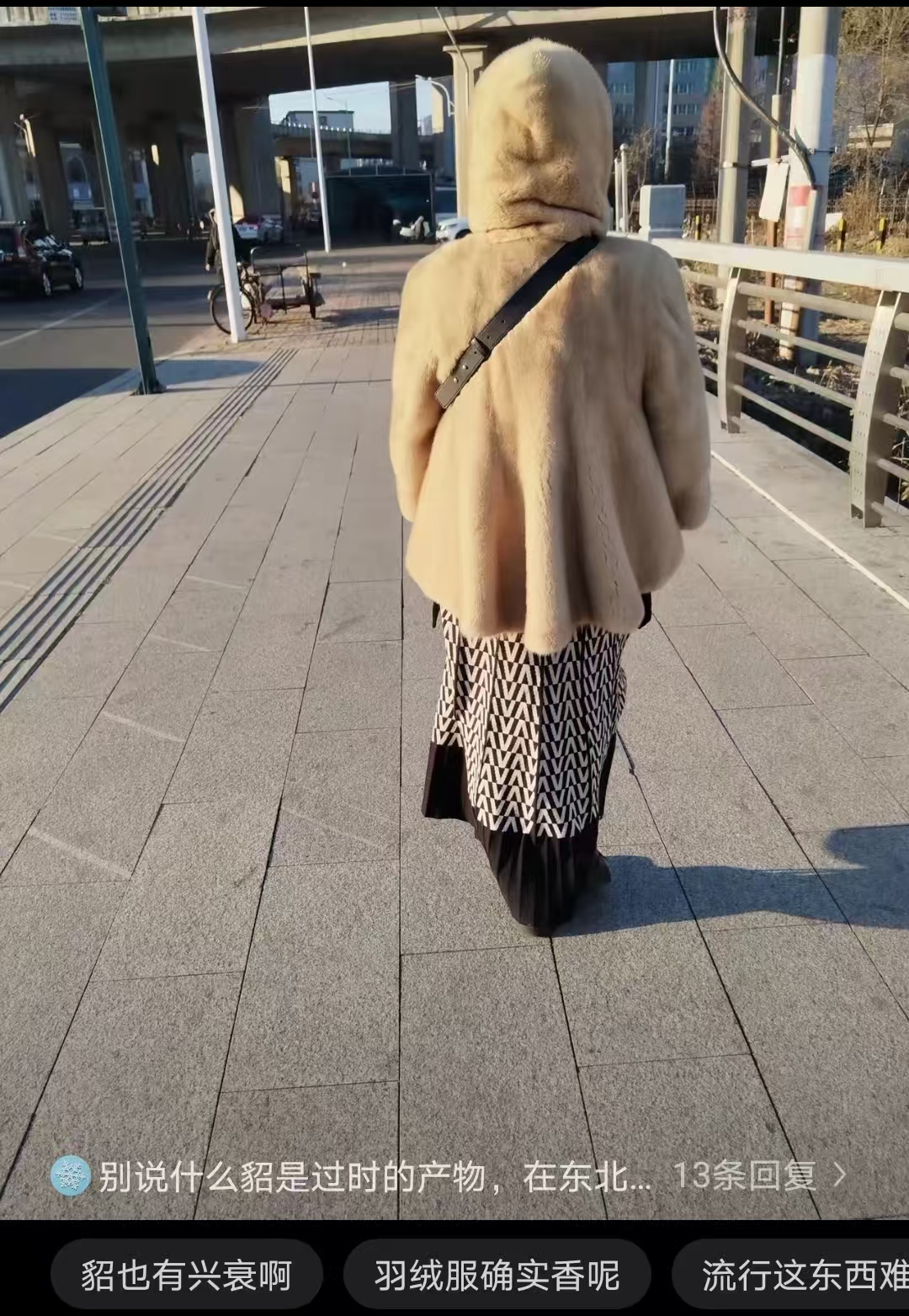 流行时满大街都是貂长貂短貂白貂黑貂彩色的貂