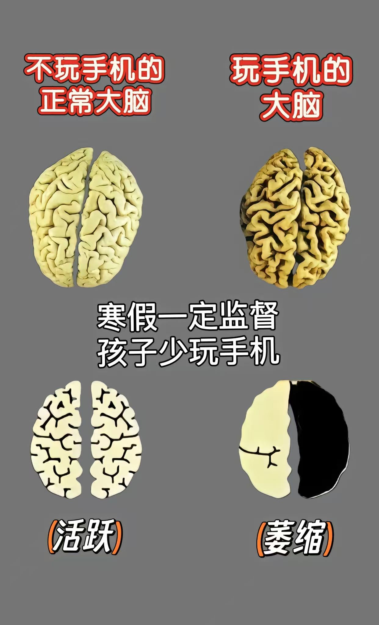 练脑力的手机小游戏(练脑力的手机小游戏大全)