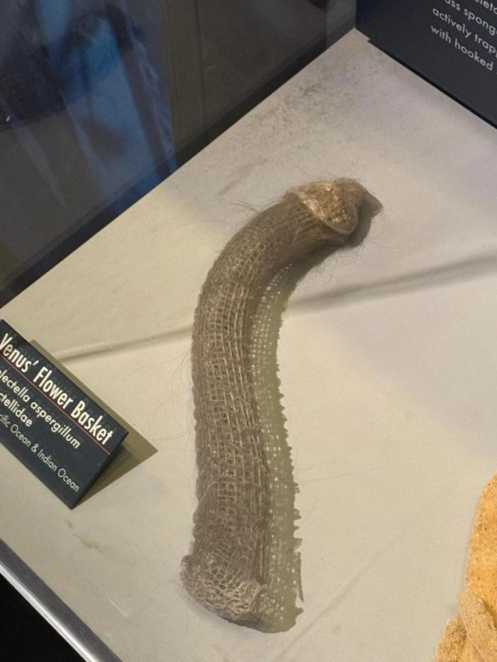 我男朋友有车有房无贷款,手头有超过8w 的储蓄