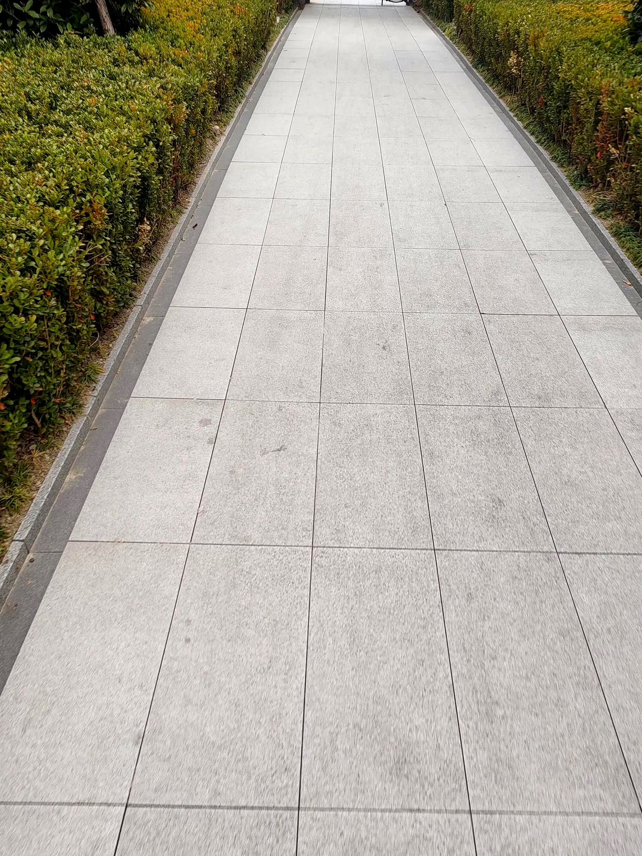 一位40岁的姐姐,背负着百万巨债,每天奔波在上海的路上