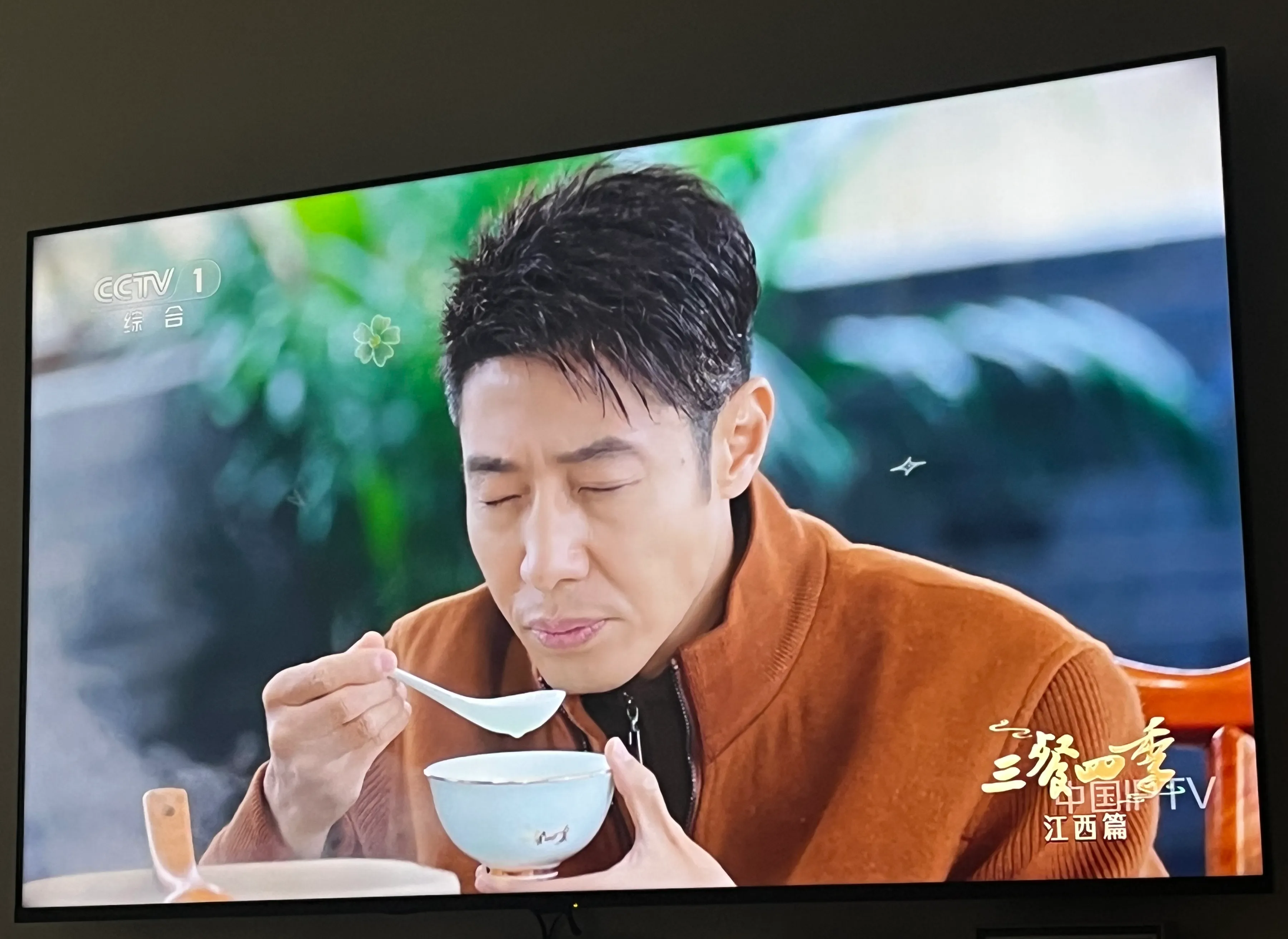 动物世界,3台就剩个没劲的开门大吉,1台黄金档的电视剧水平越来越差!