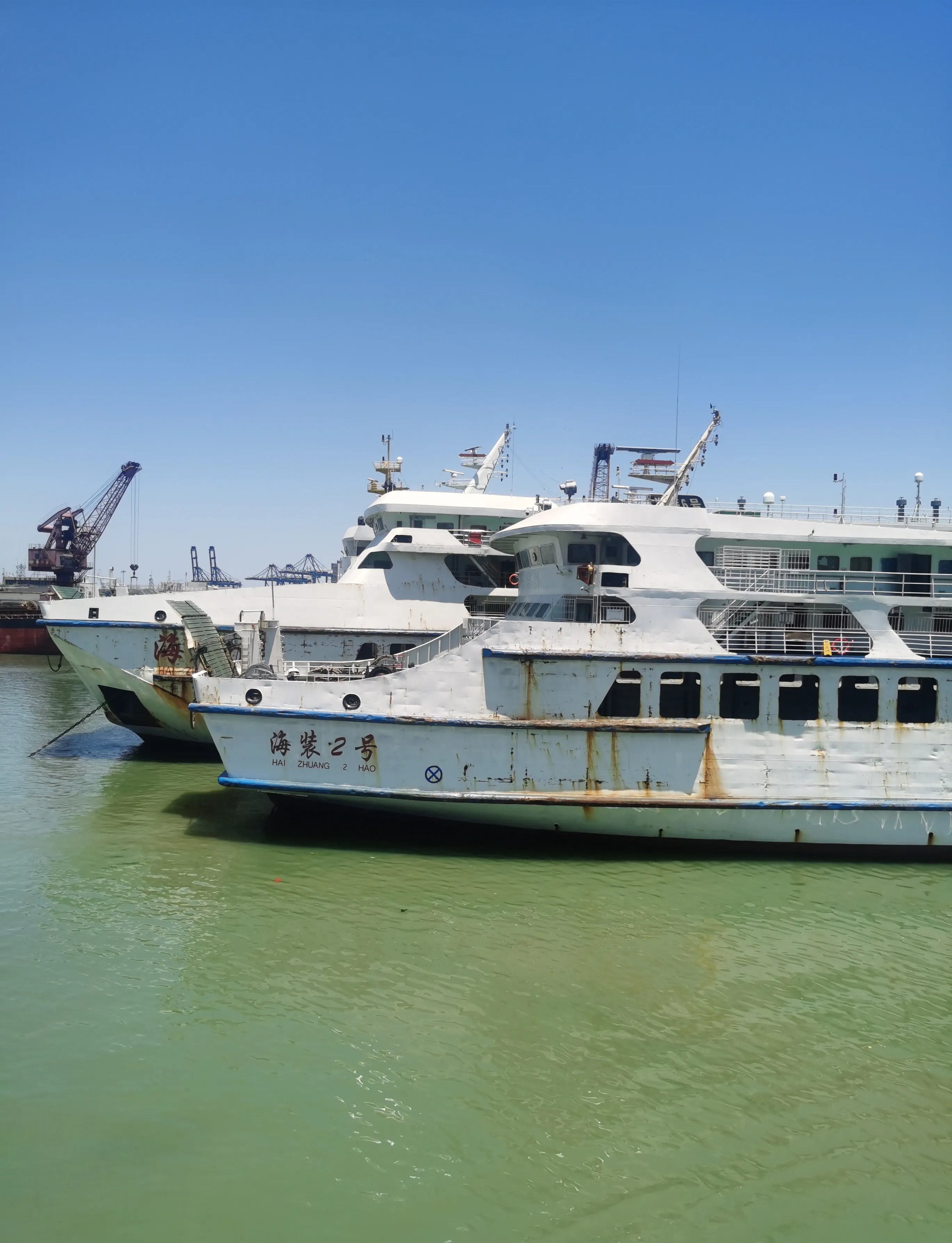 又到候鸟回归的季节了,昨天海南的天气预报说会有高温预警,气温会连续