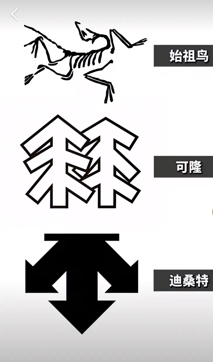 现在的始祖鸟,迪桑特,斐乐,蒙口都非常火,但谁能保证