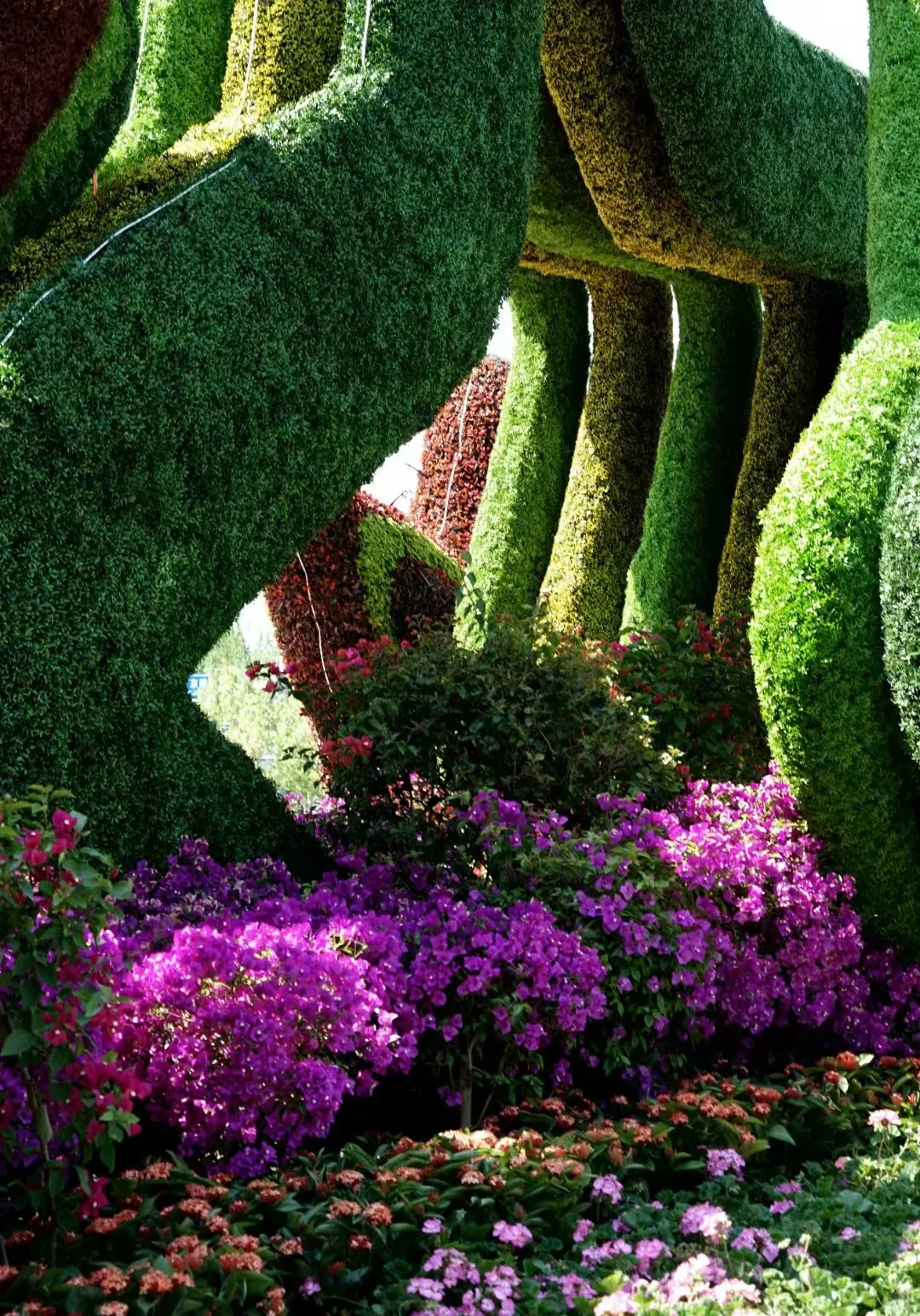 外地游客占了不少,马路边停满了外地的大巴,广场上的绿化和花卉真的是