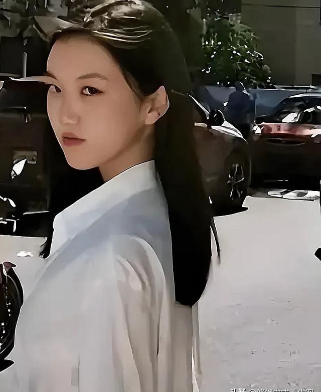 李嫣,王菲和李亚鹏之女,出生就因先天性唇腭裂备受关注