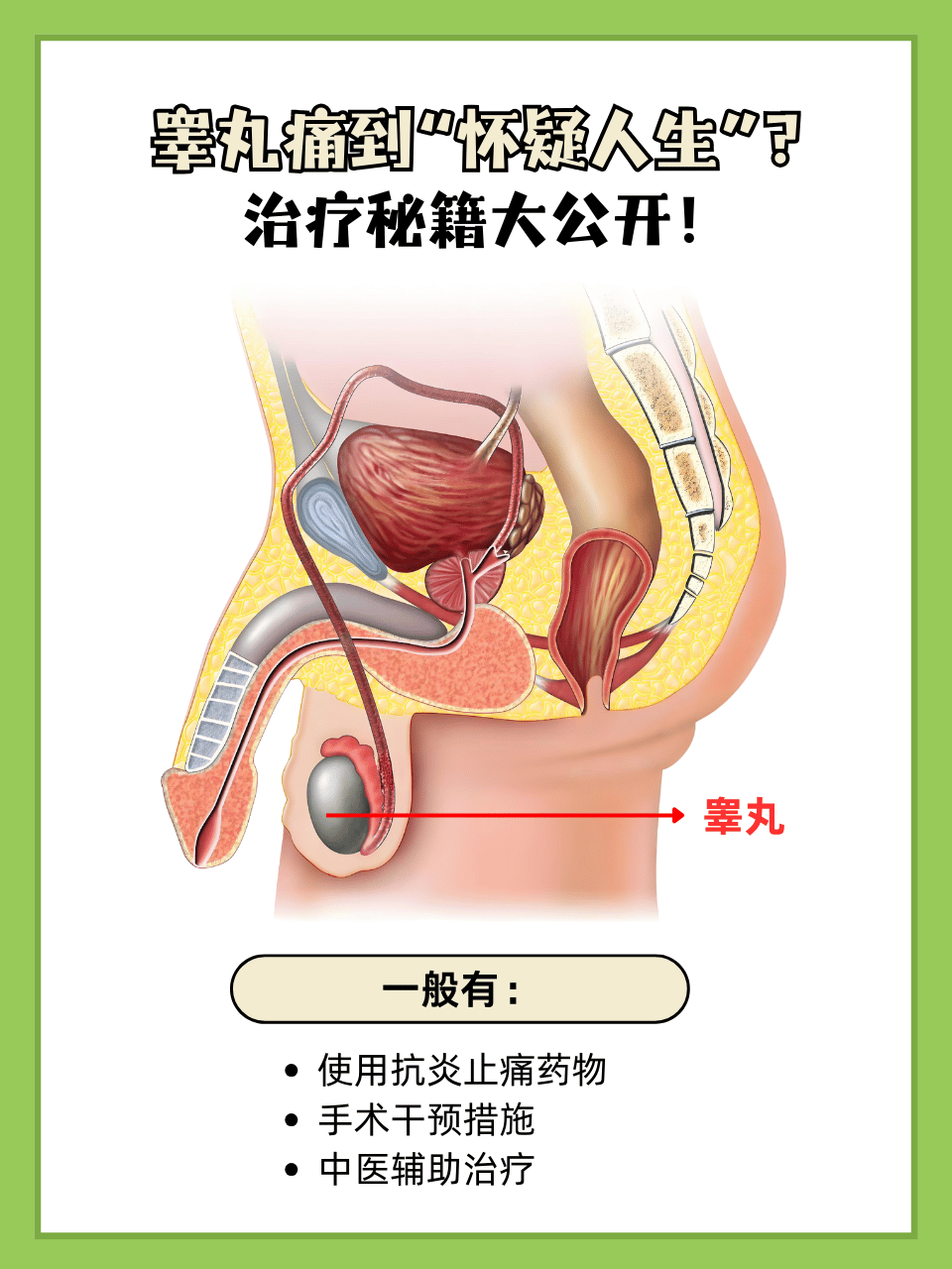 为什么会睾丸疼