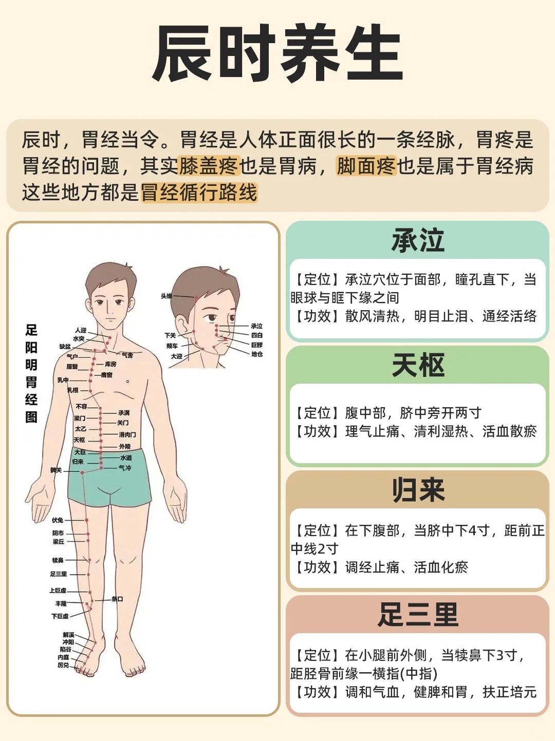 胃经当令,养胃如养命 中医认为胃是六腑之一,又称胃脘