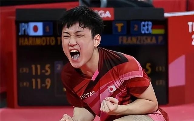 不要讨厌 张本智和 他那股子狂劲儿配上赛场上嗷嗷喊的架势,还真让人