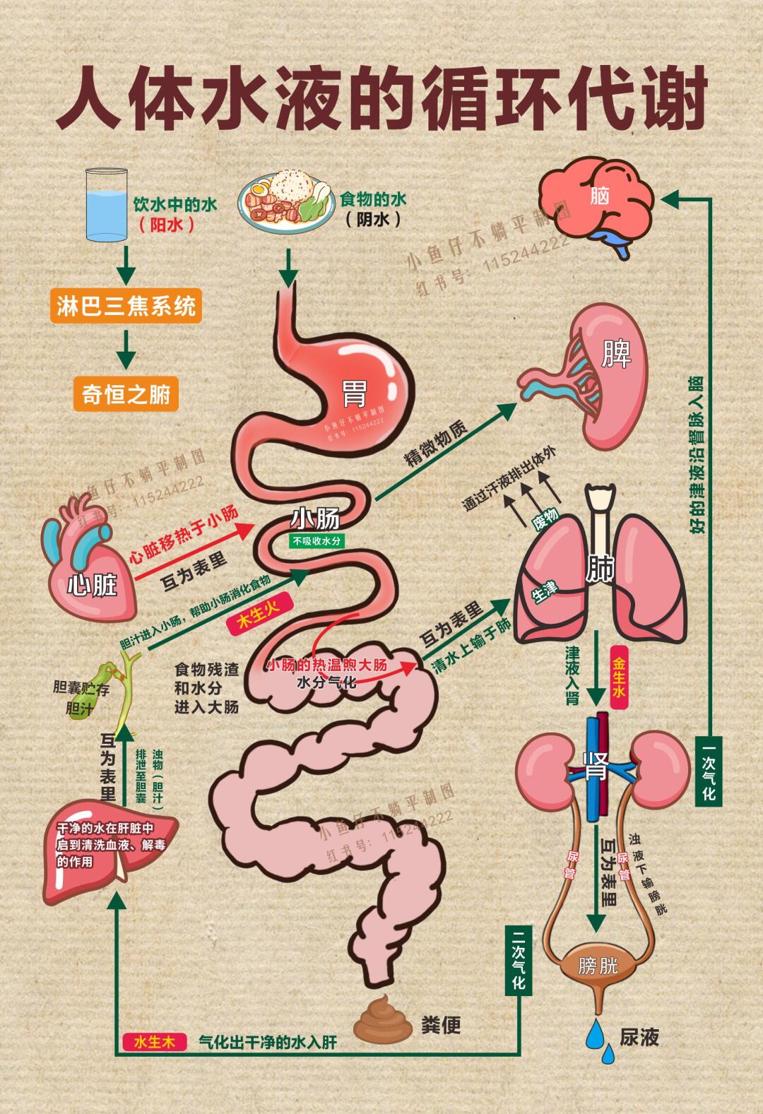 此笔记的出处是倪海厦老师的视频学习资料,不得不让