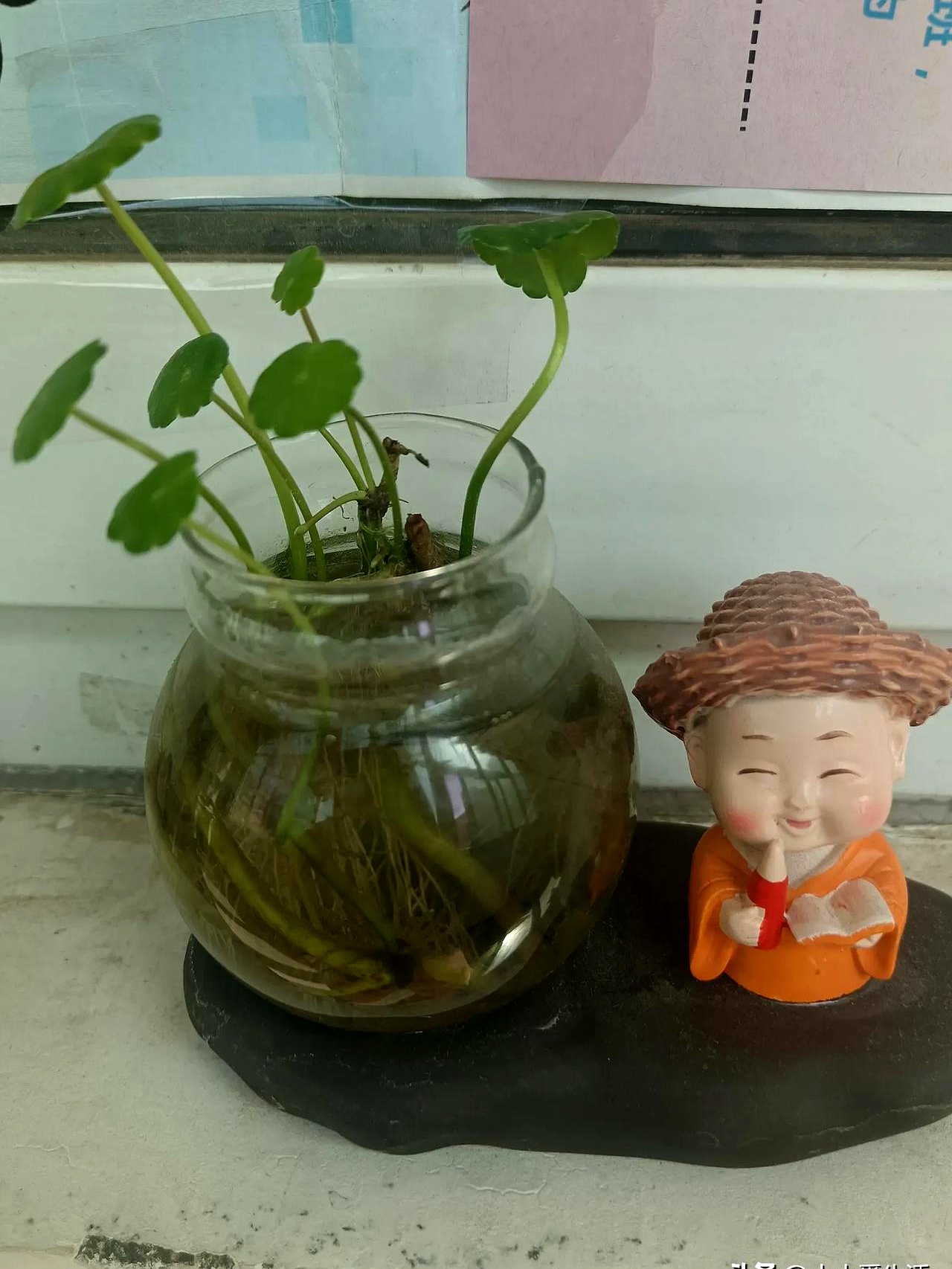 当时我们觉得上那个就是混日子,在学校象征性地待几年