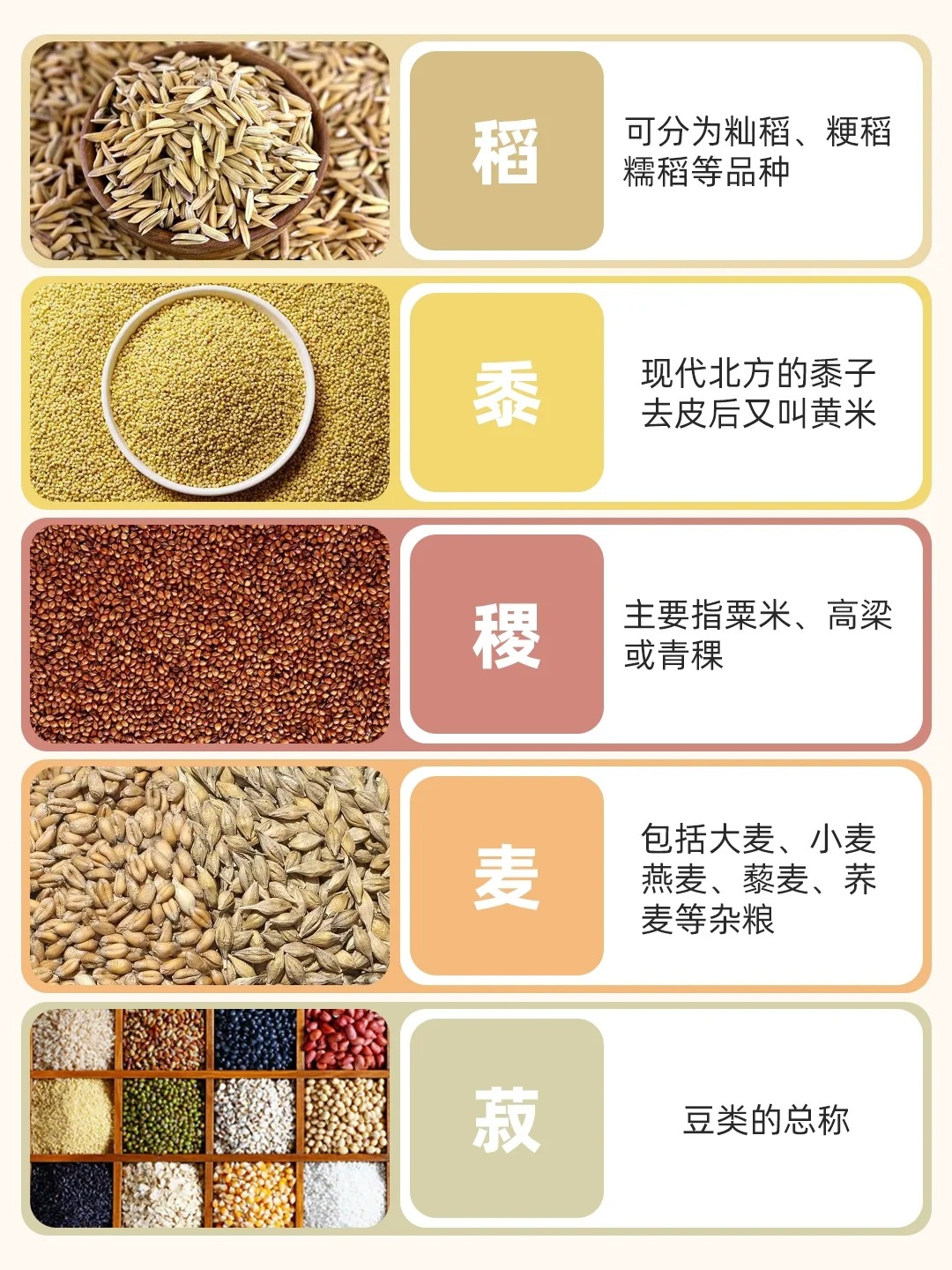 五谷养生配方做法及功效大全视频(五谷养生配方做法及功效大全视频下载)