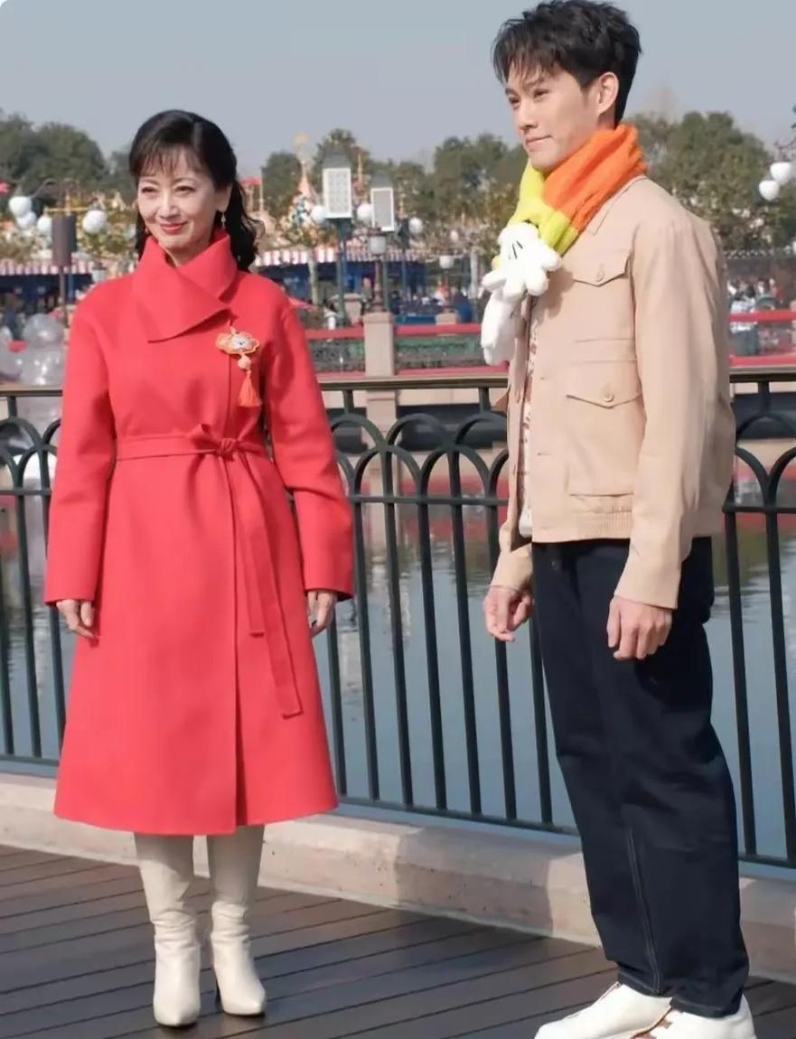 赵雅芝三个儿子的抚养权