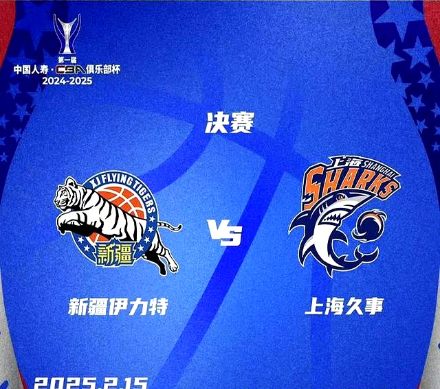 各年总冠 军球队全 解析相关图片2