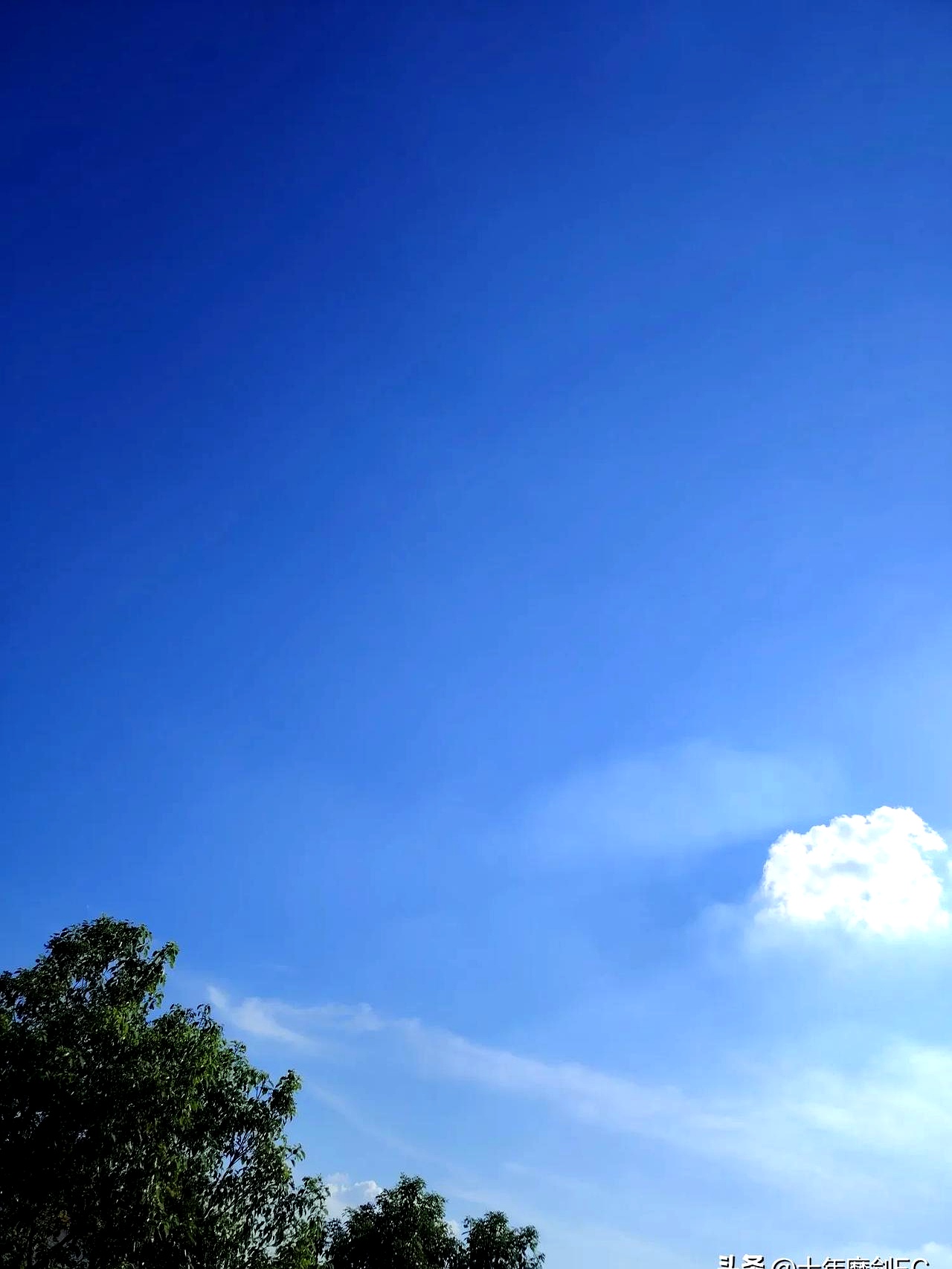 夏天真热啊! 大太阳火辣辣的, 到处都像个大火炉, 简直要被蒸熟了