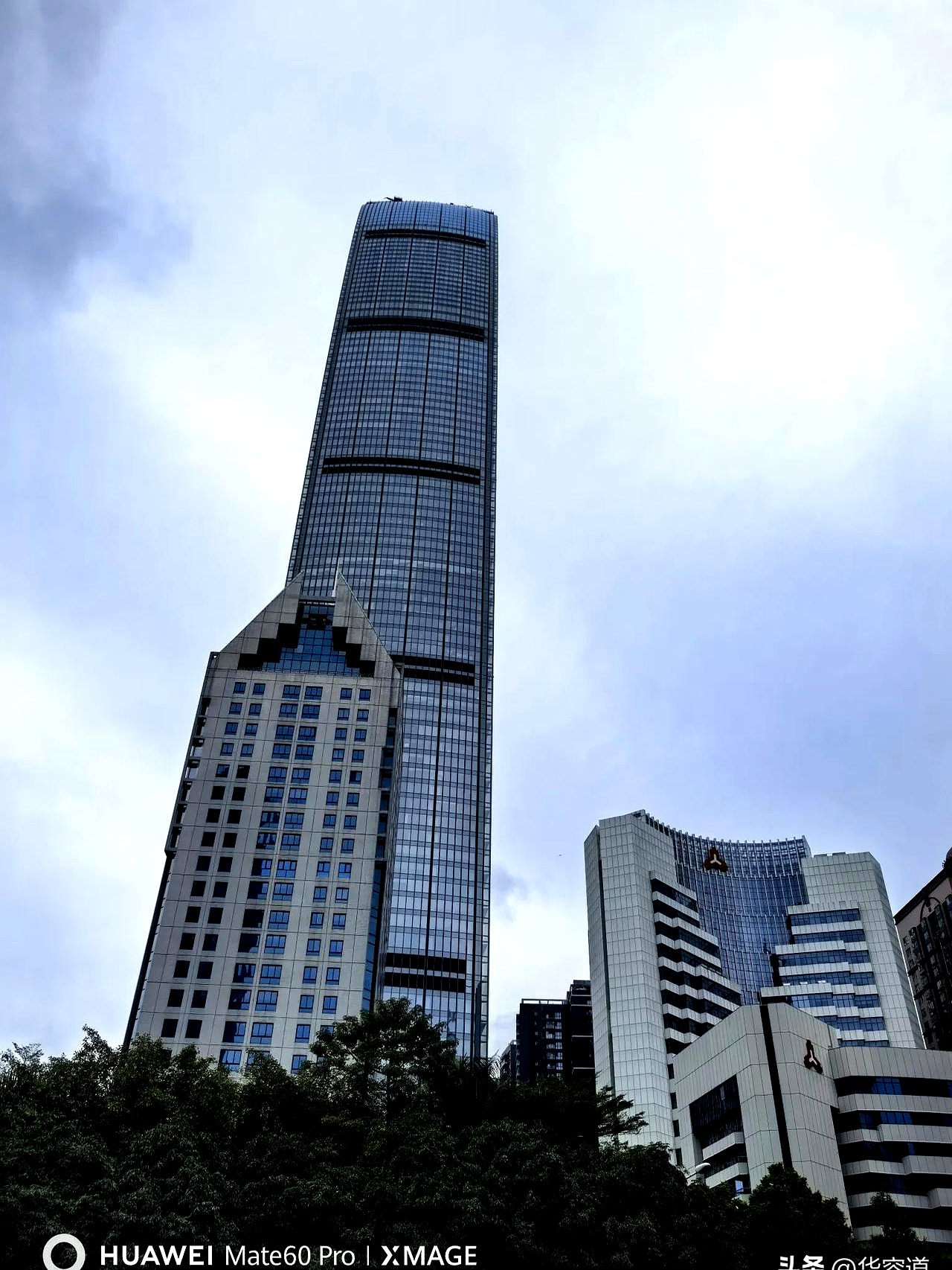 某总是一个专门做标书的公司的老板