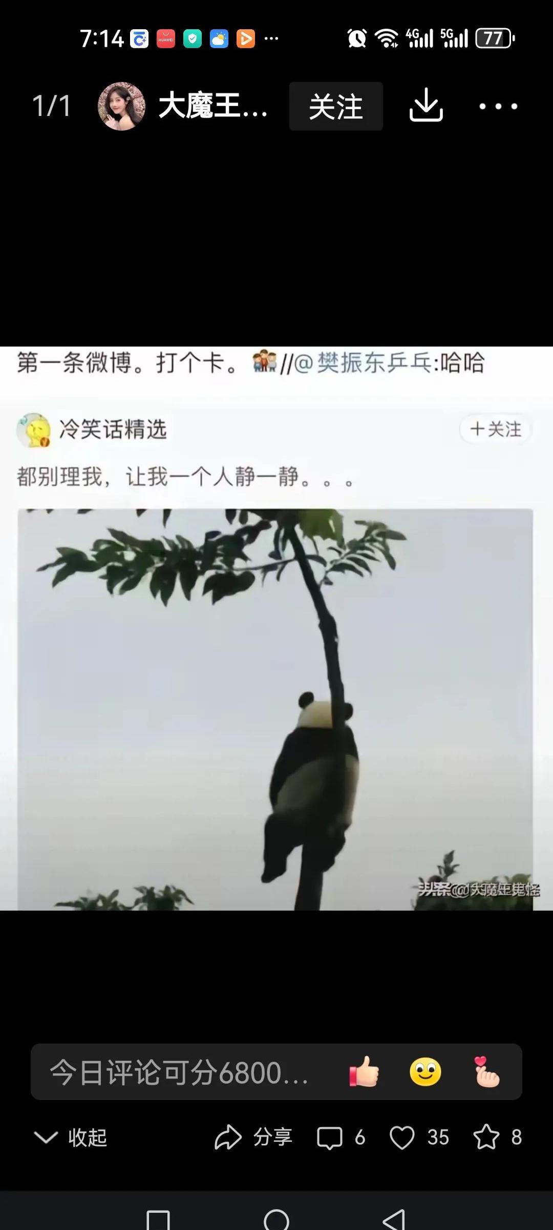 樊振东微博上的一幅画引发大家浓厚兴趣,图中一只熊猫蹲在树上背对