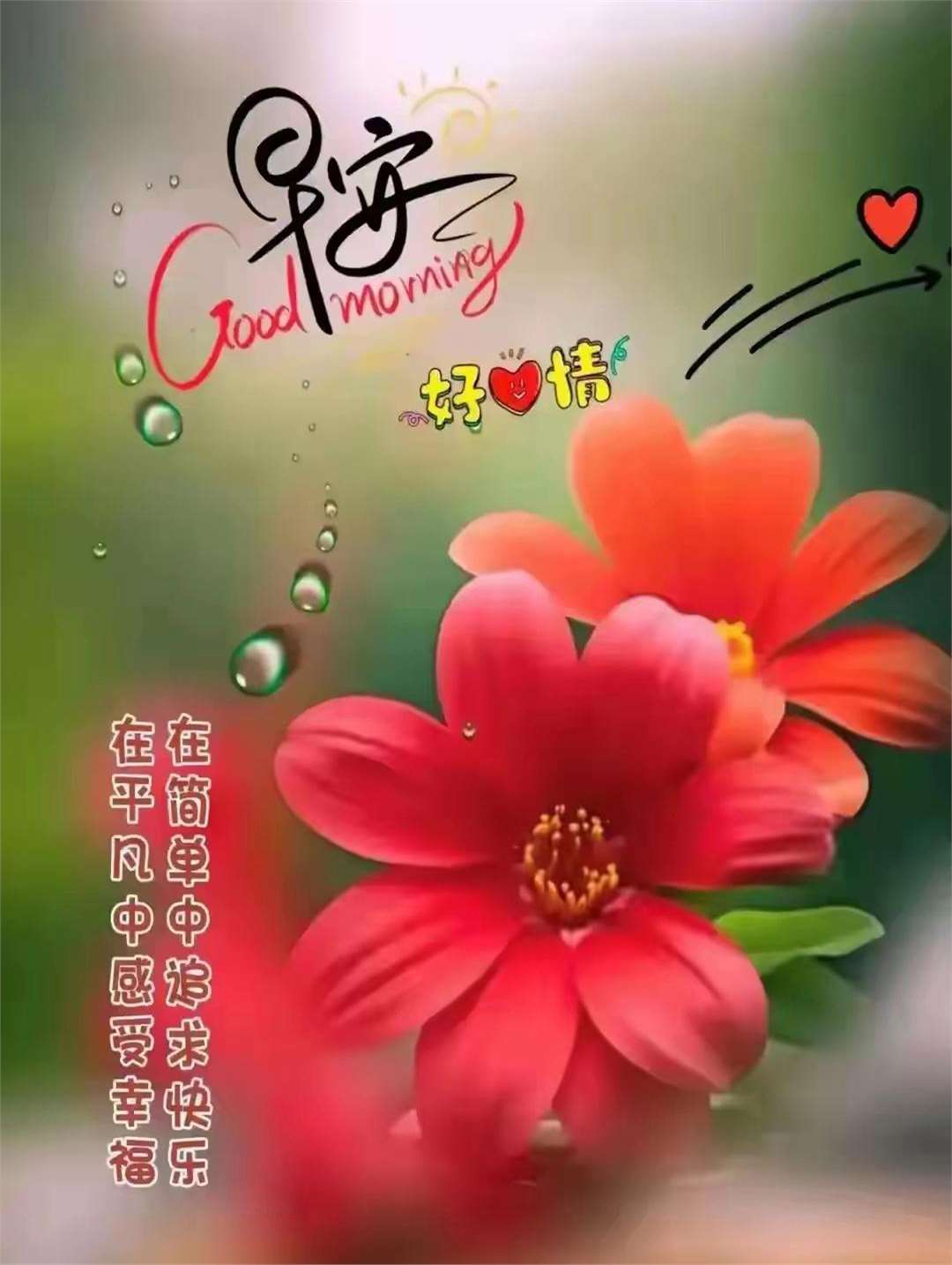 早安,早安你好问候语图片, 作者声明:内容由ai生成