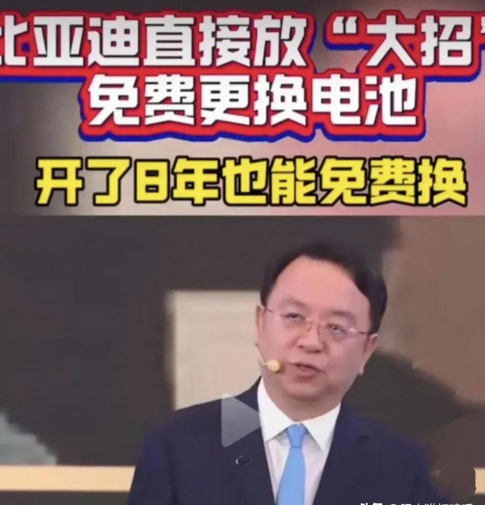 比亚迪终身换电池政策(比亚迪刀片电池真实寿命)