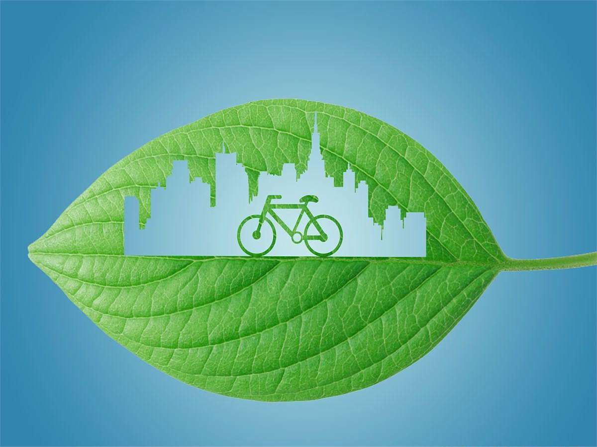 我觉得,绿色号牌代表环保,寓意美好