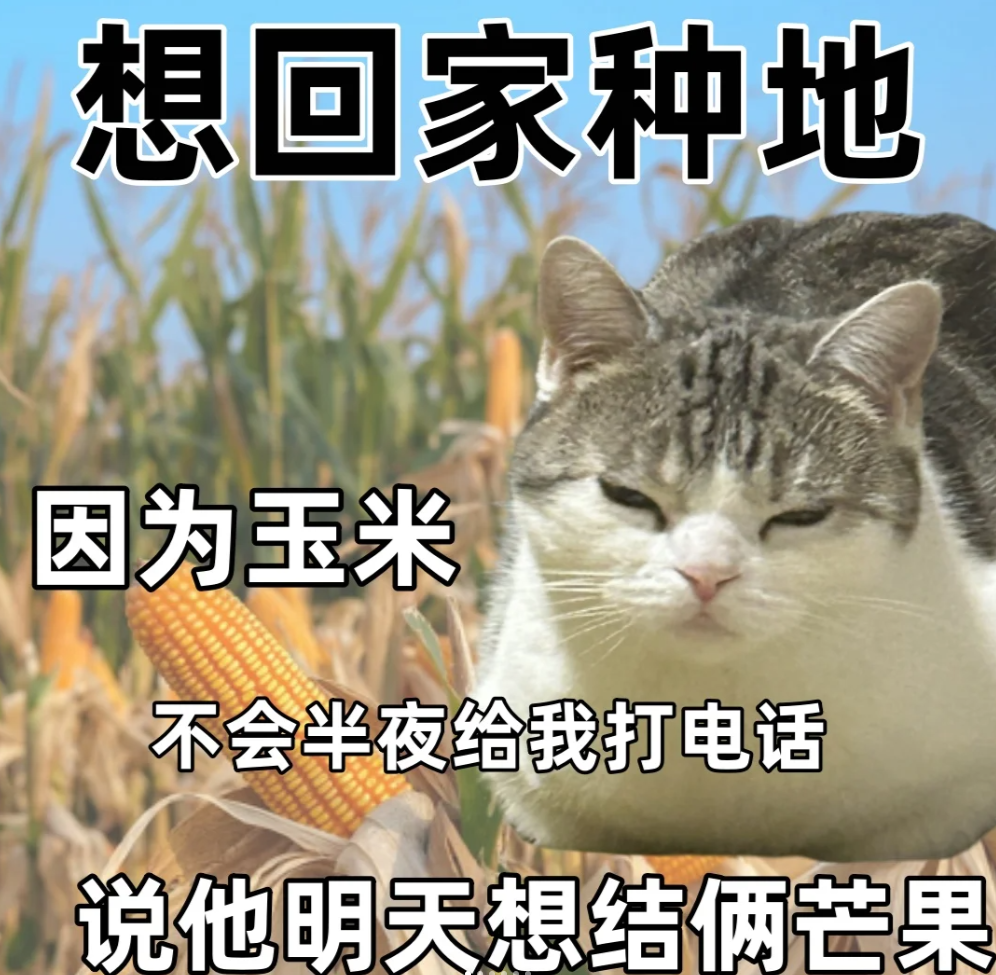 表情包打工人想回家种地 质疑陶渊明,理解陶渊明,成为陶渊明