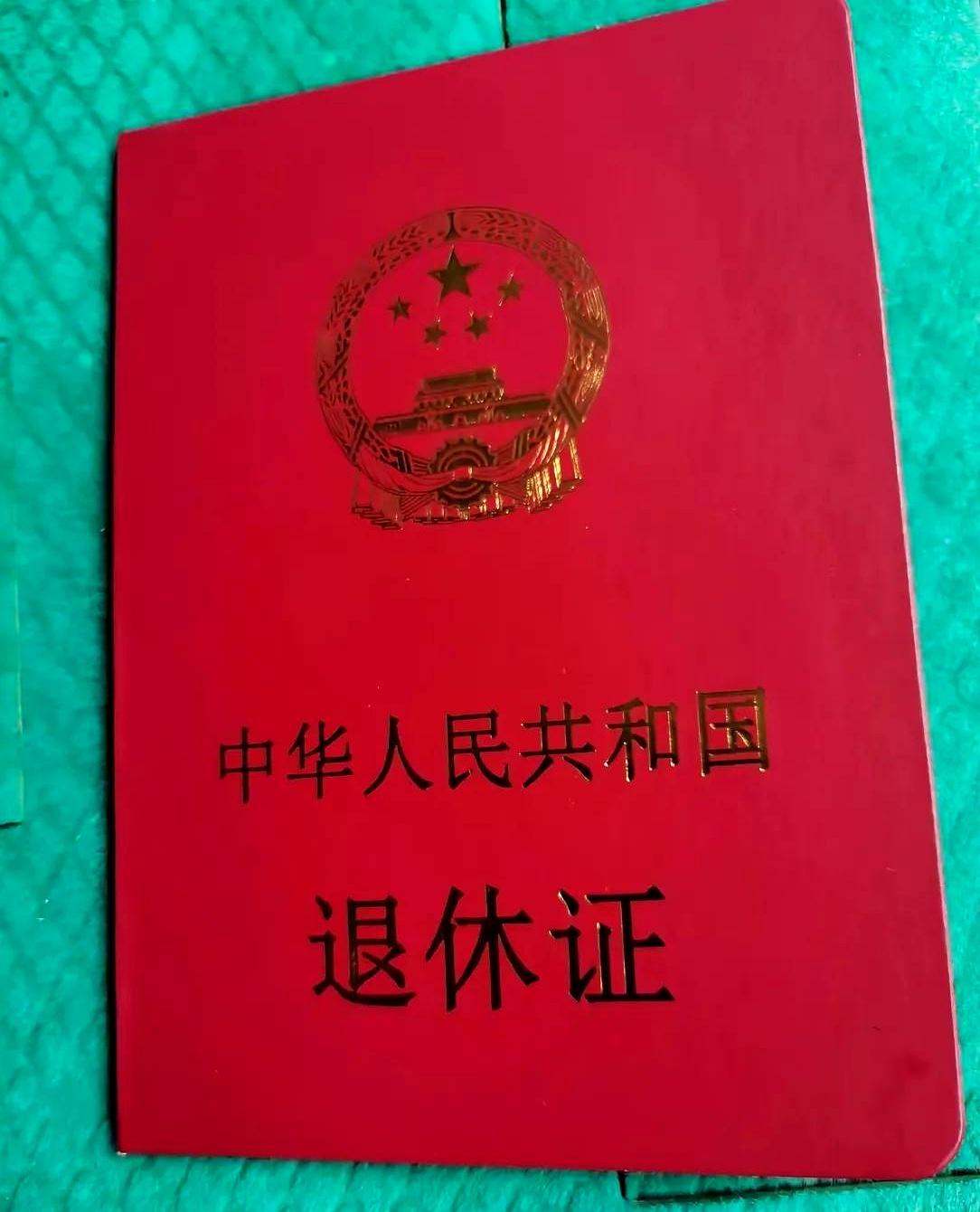 楼上新搬来一个邻居大哥过来带外孙了,听楼下老朱