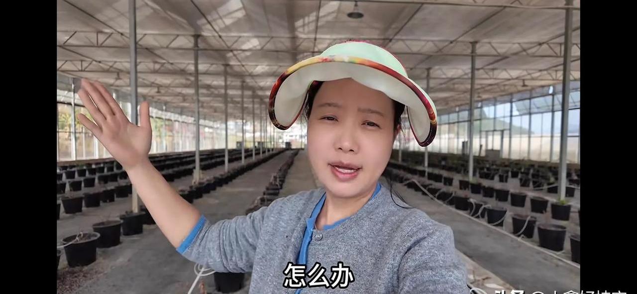 到了家乡玉涵马不停蹄的直播带货一场接一场,直到年根