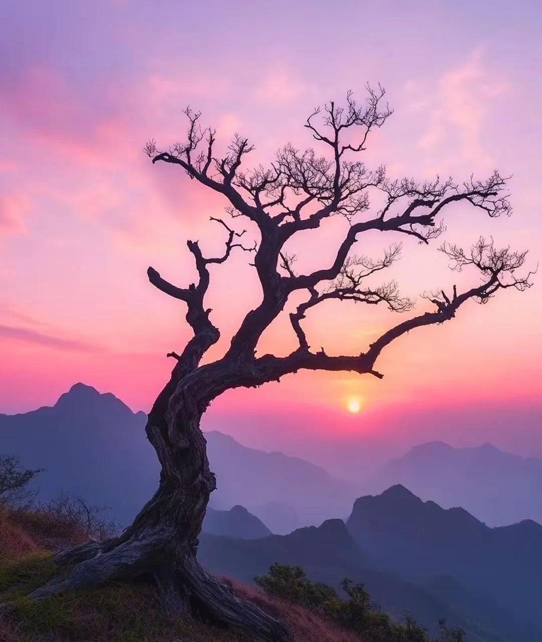 六月生锦鲤体质? 据说不同月份出生命运各不同
