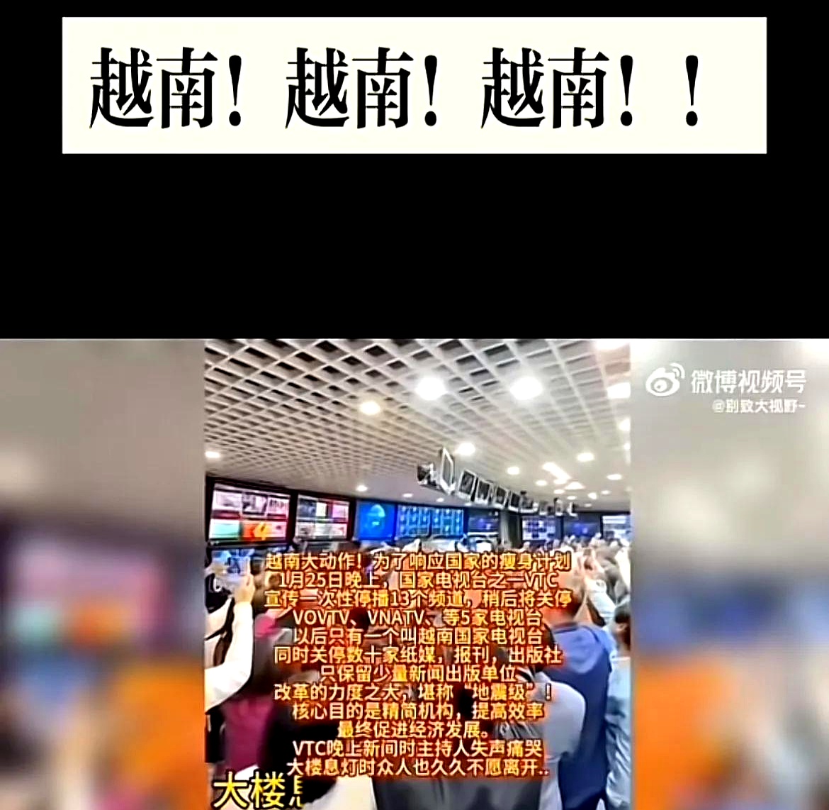 越南网站上的中国-越南网络