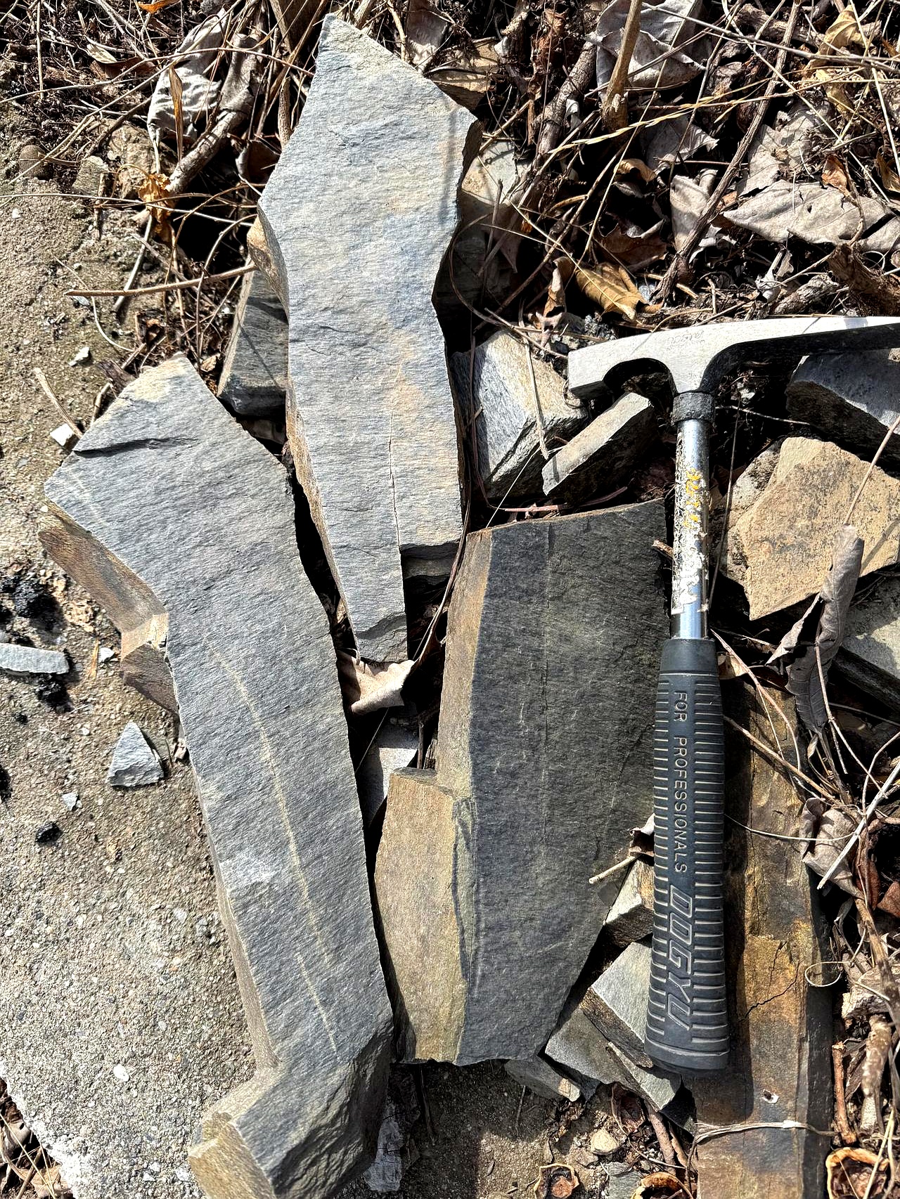 一路向西经过寒武奥陶石炭二叠直到侏罗纪地层