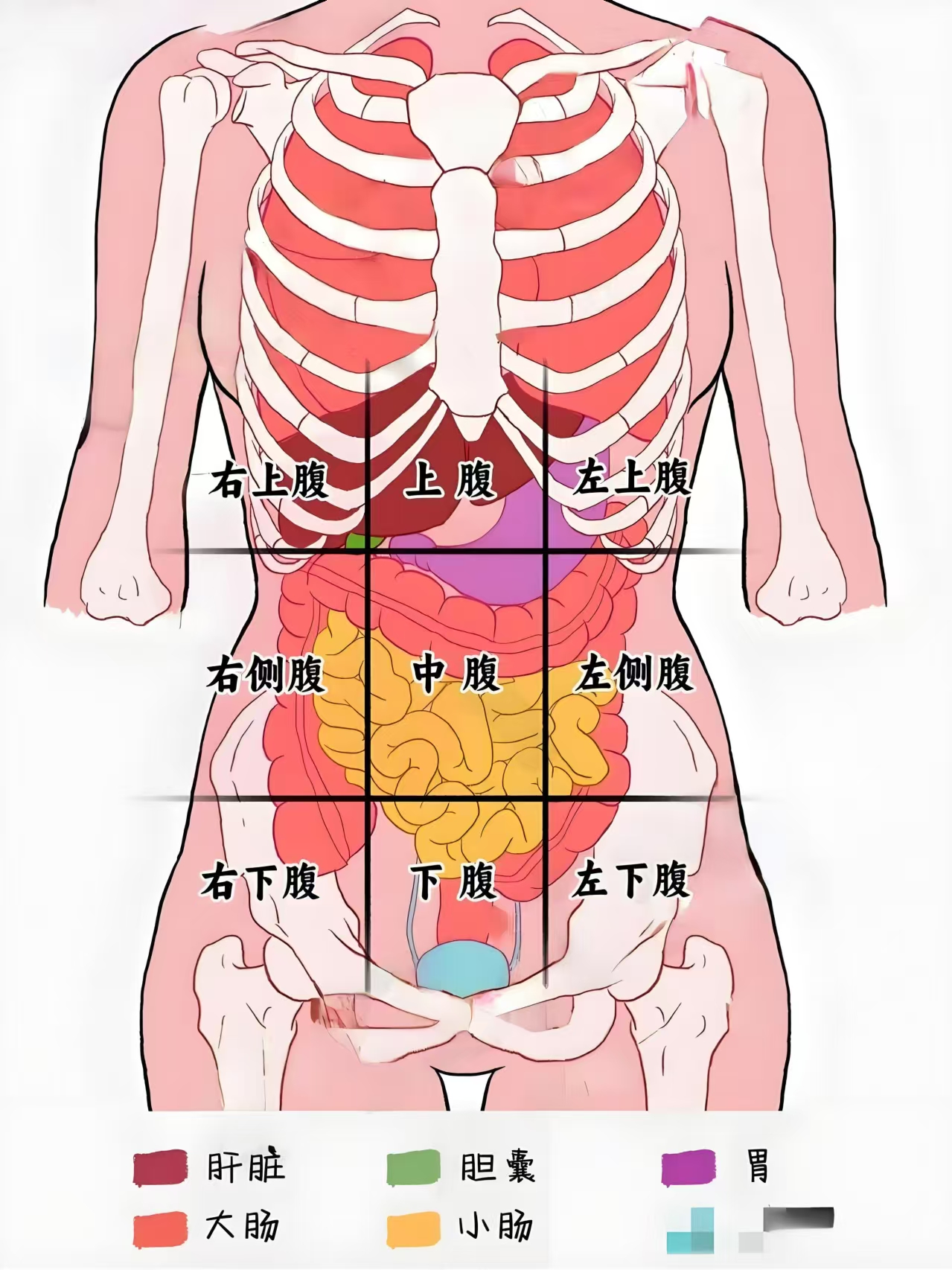 不同部位的肚子疼,都代表什么问题?中医一张图讲明白!
