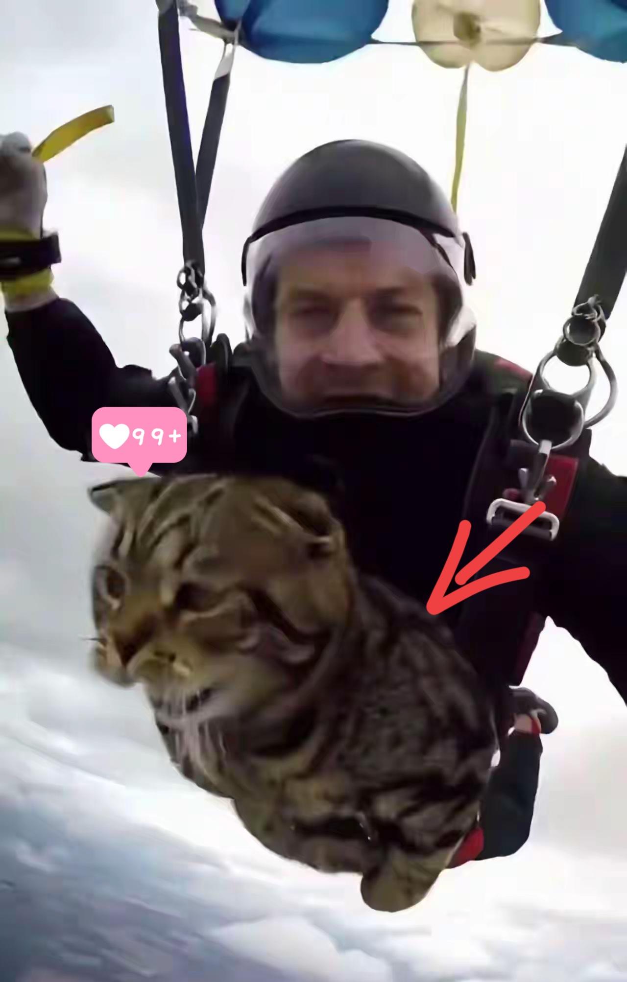我当时就笑喷了谁能想到一只小猫咪也会因为想老家而心情不好