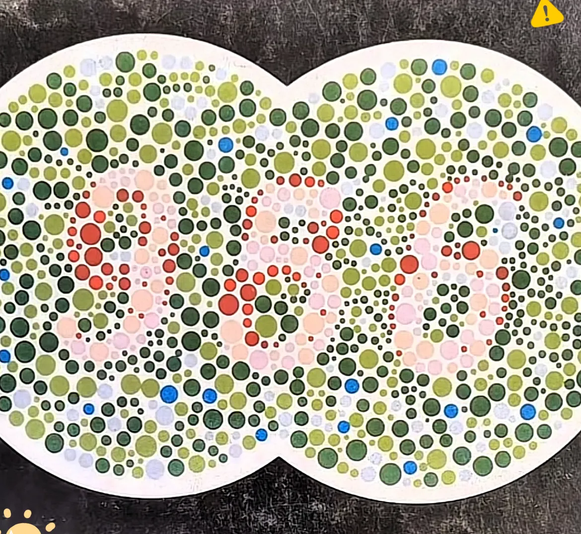 现在还得再去做个驾驶员体检,拿个证明,真是色盲检查图色盲测试图石原