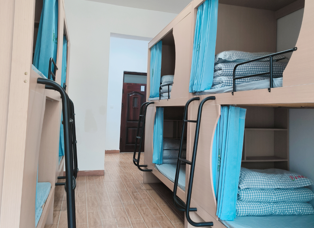 湖南外国语职业学院:五年制大专本科升学率再创新高,学子们迈向更广阔