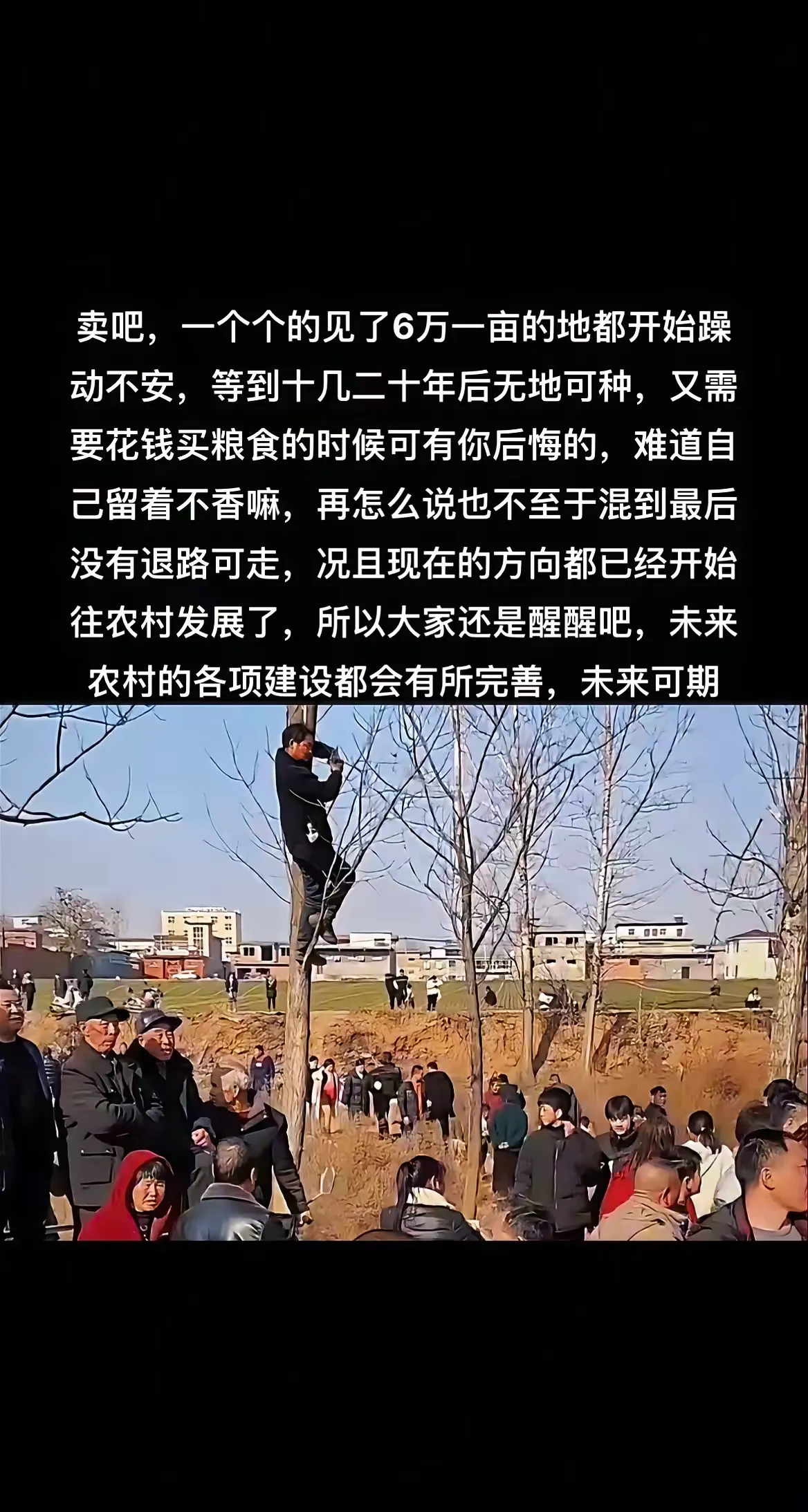 一亩地挣一万(哪个专家说一亩地能挣一万多块钱)